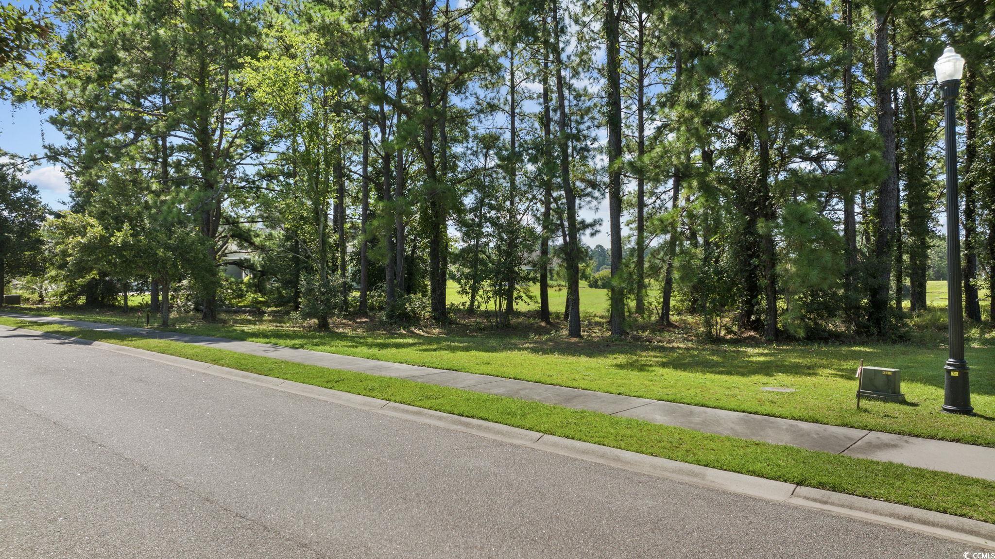 1017 Muscovy Pl. Conway, SC 29526