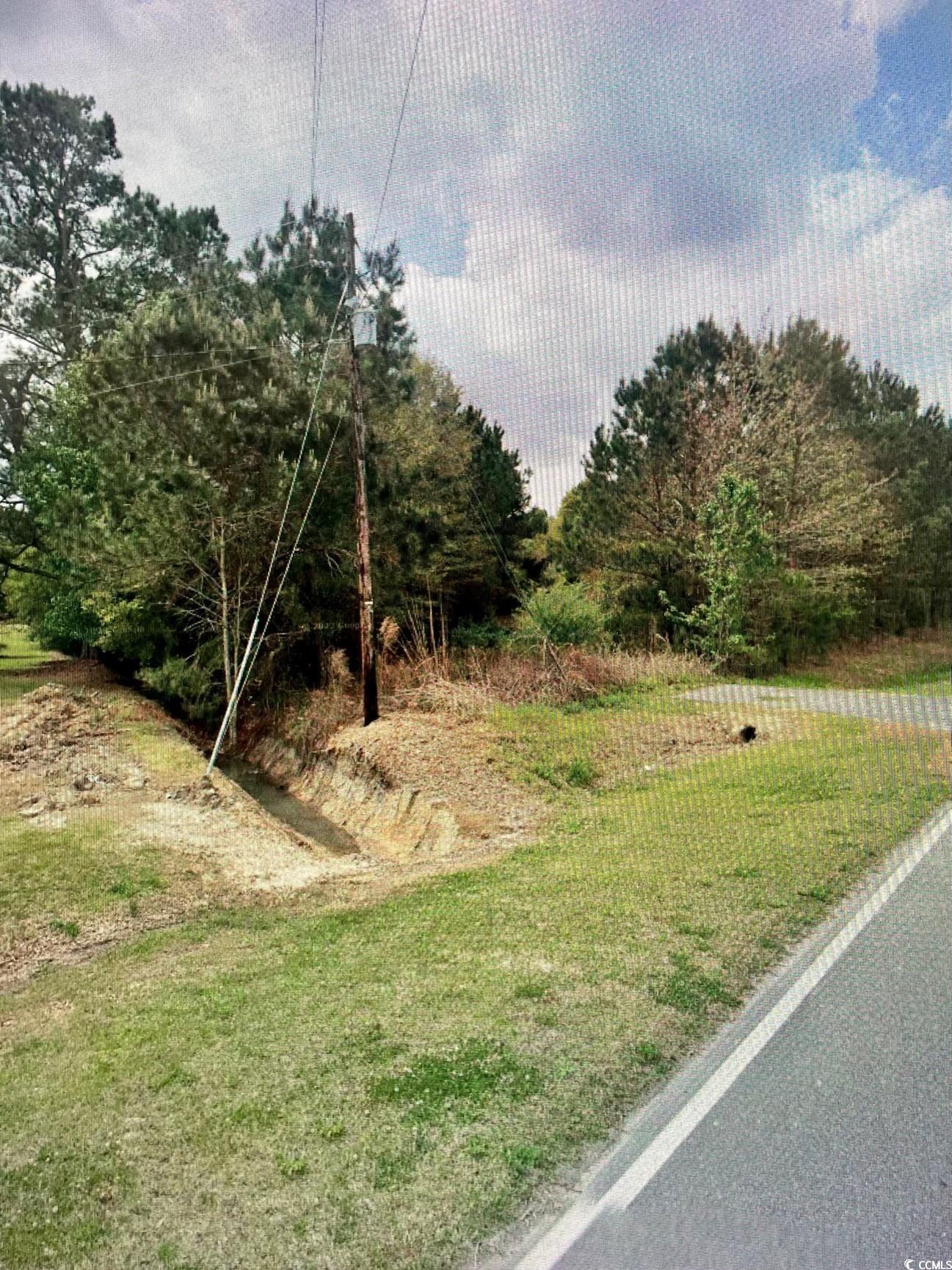 TBD Long Branch Swamp Rd., Green Sea, South Carolina image 6