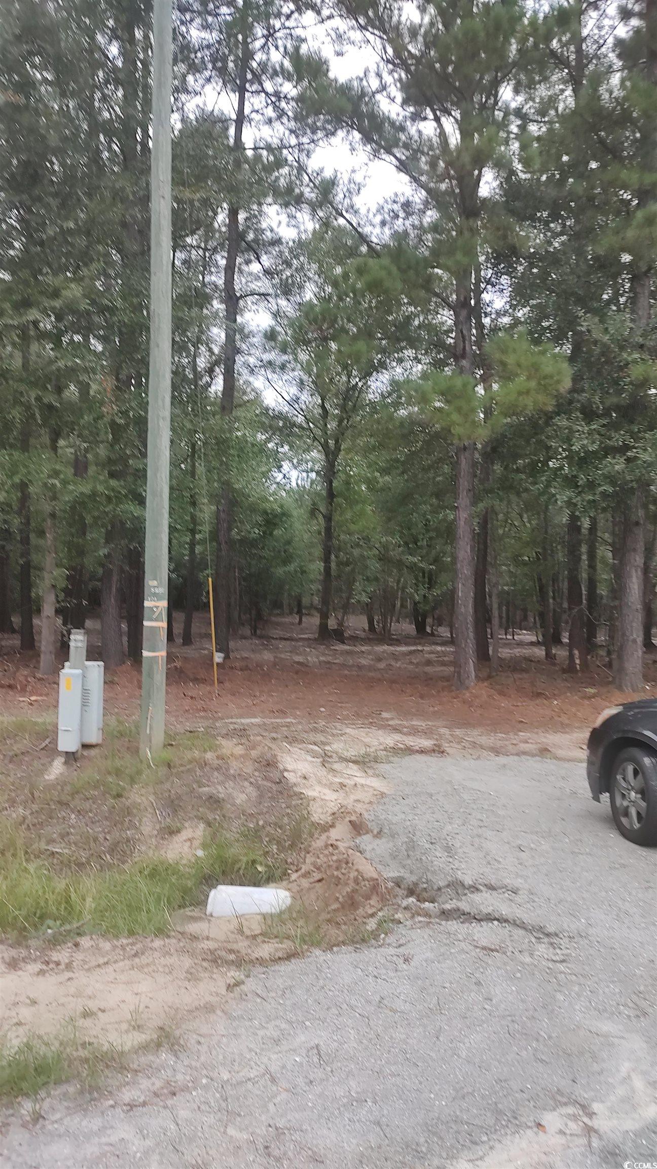 TBD Lees Landing Circle, Conway, South Carolina image 18