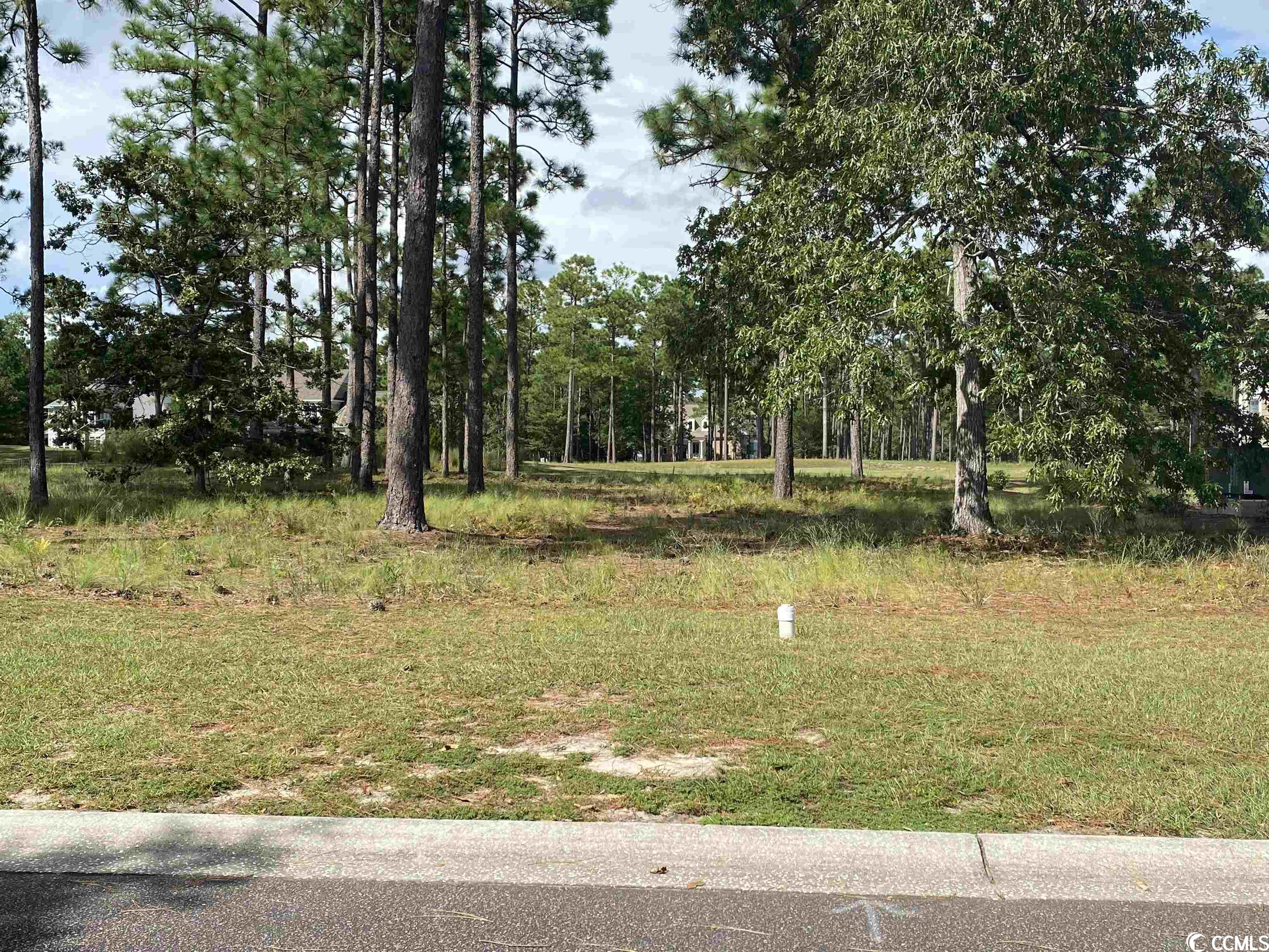 425 Laurel Valley Dr. Shallotte, NC 28470