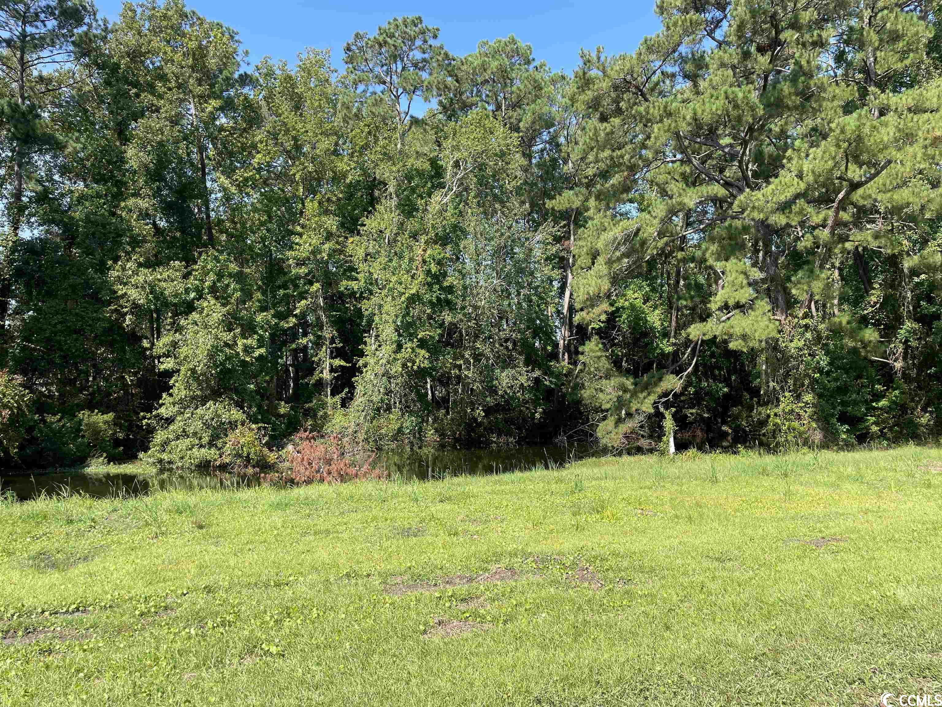 2801 Little River Neck Rd., North Myrtle Beach, South Carolina image 27