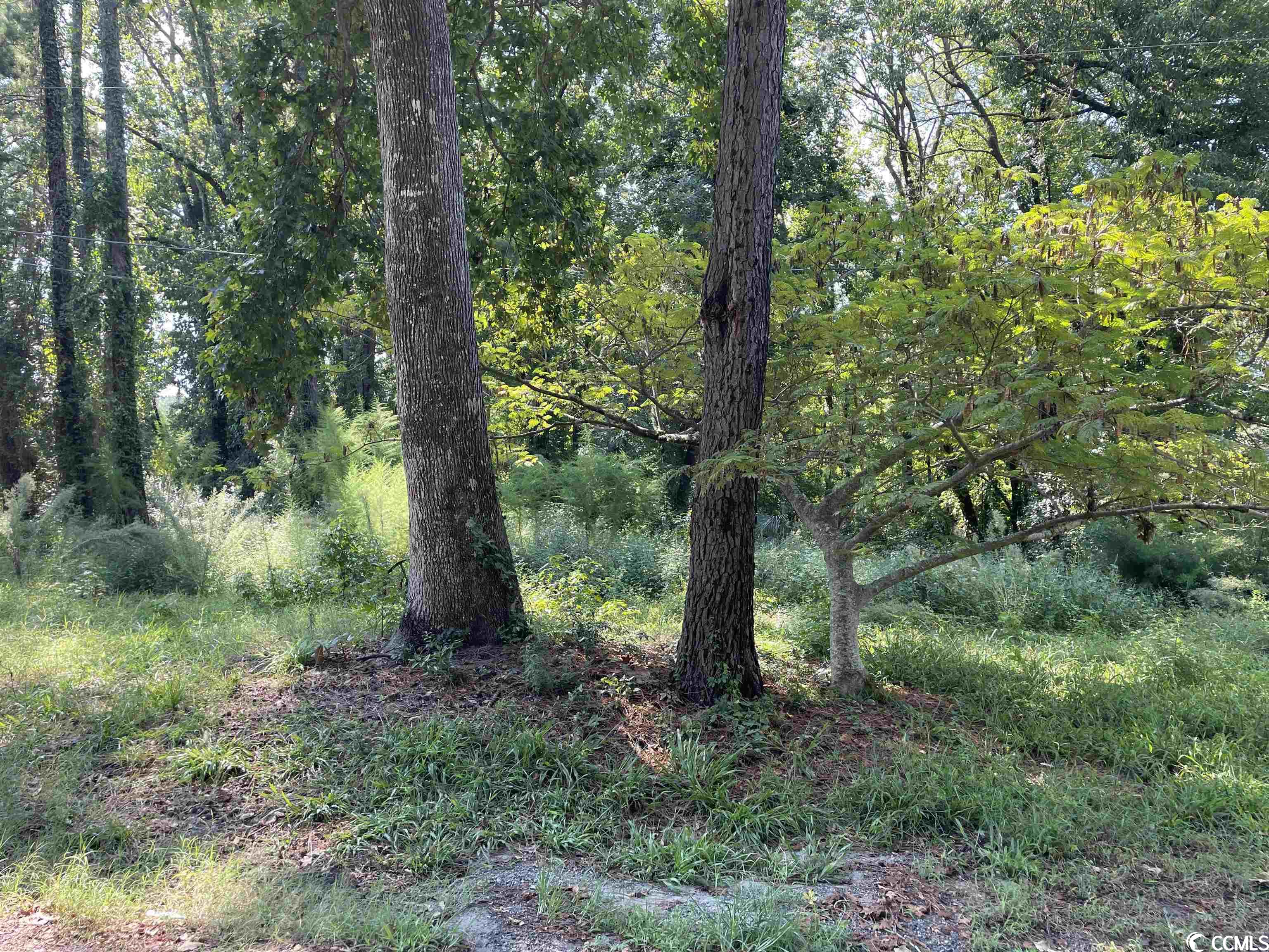 2801 Little River Neck Rd., North Myrtle Beach, South Carolina image 31