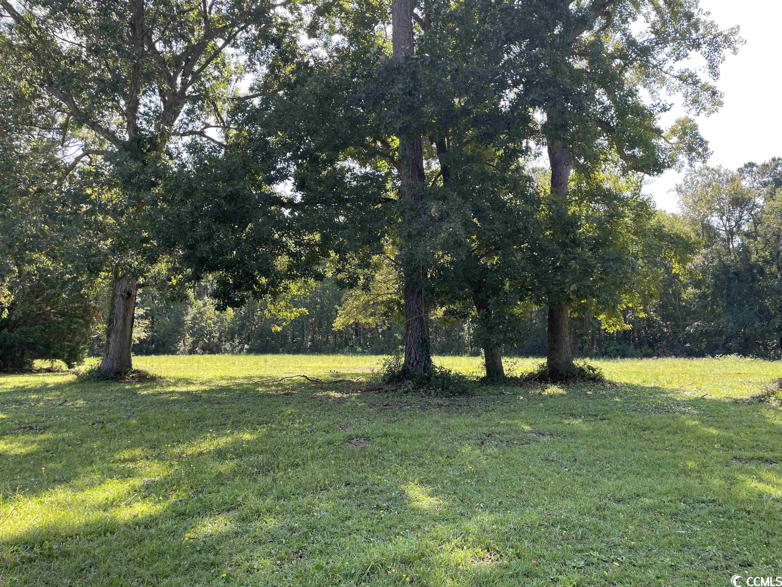 2801 Little River Neck Rd., North Myrtle Beach, South Carolina image 8