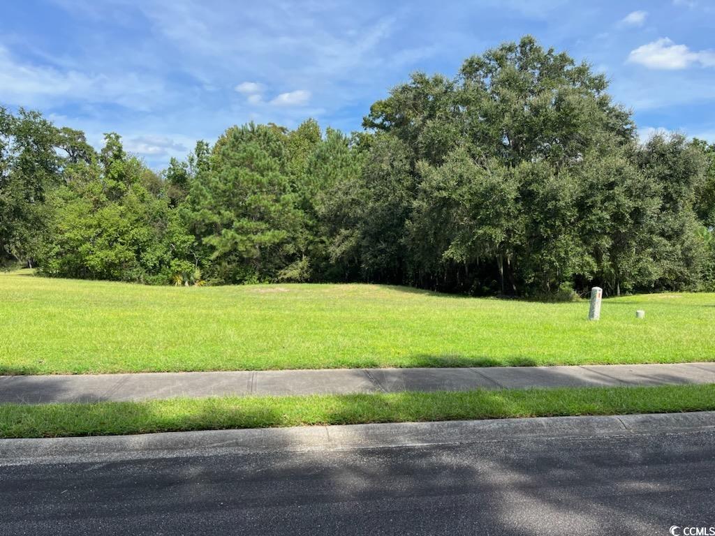 Lot 109 Rosebank Rd. Georgetown, SC 29440