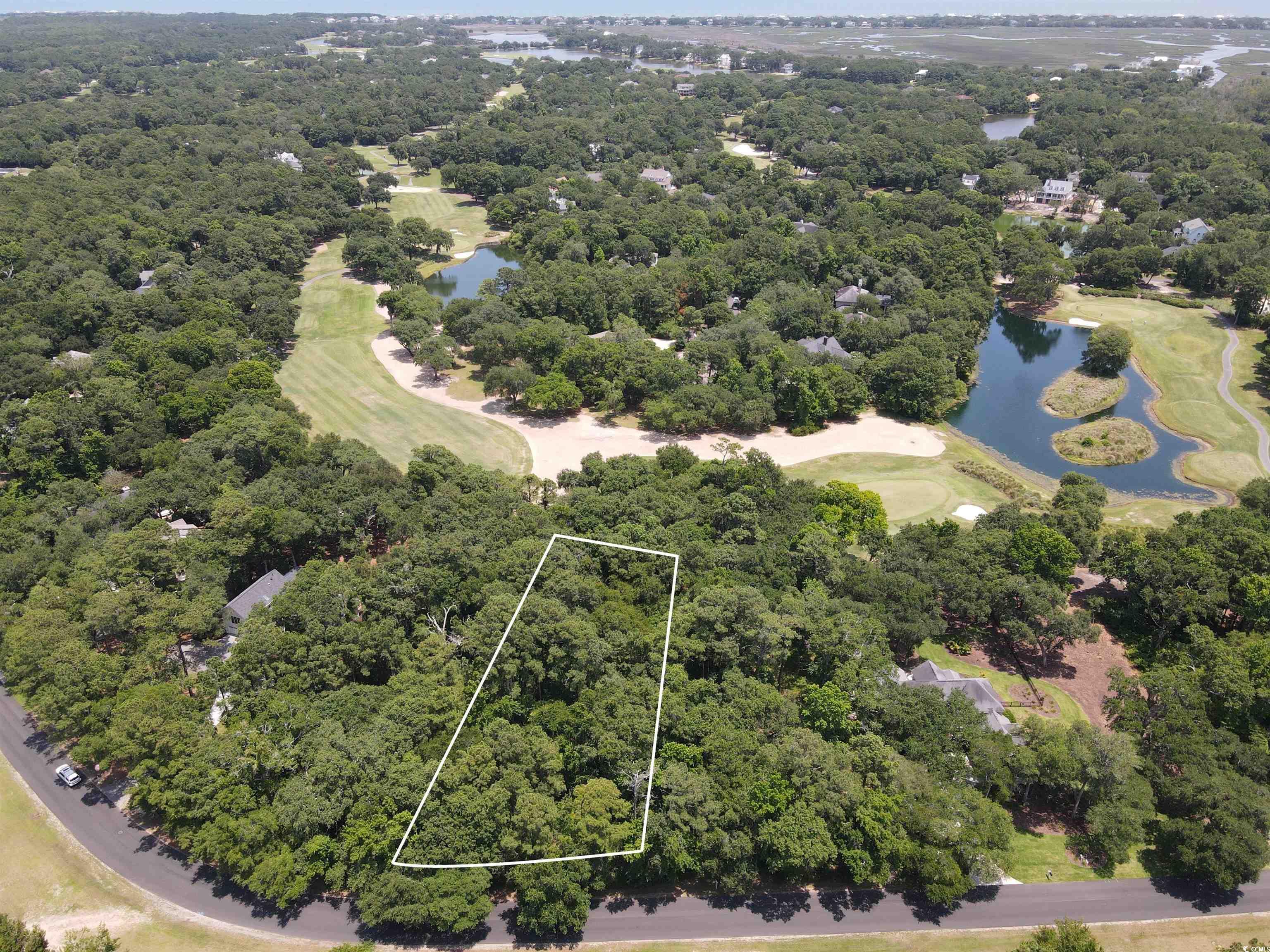 Lot 7 Wallace Pate Dr. Georgetown, SC 29440