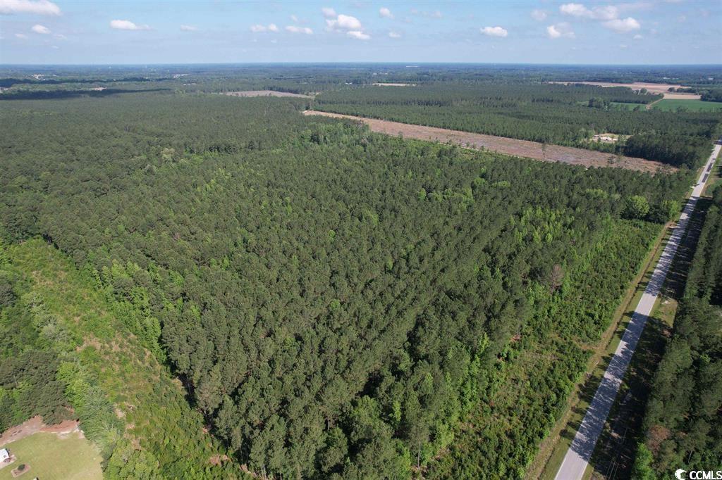 TBD N Old Georgetown Rd. Lake City, SC 29560