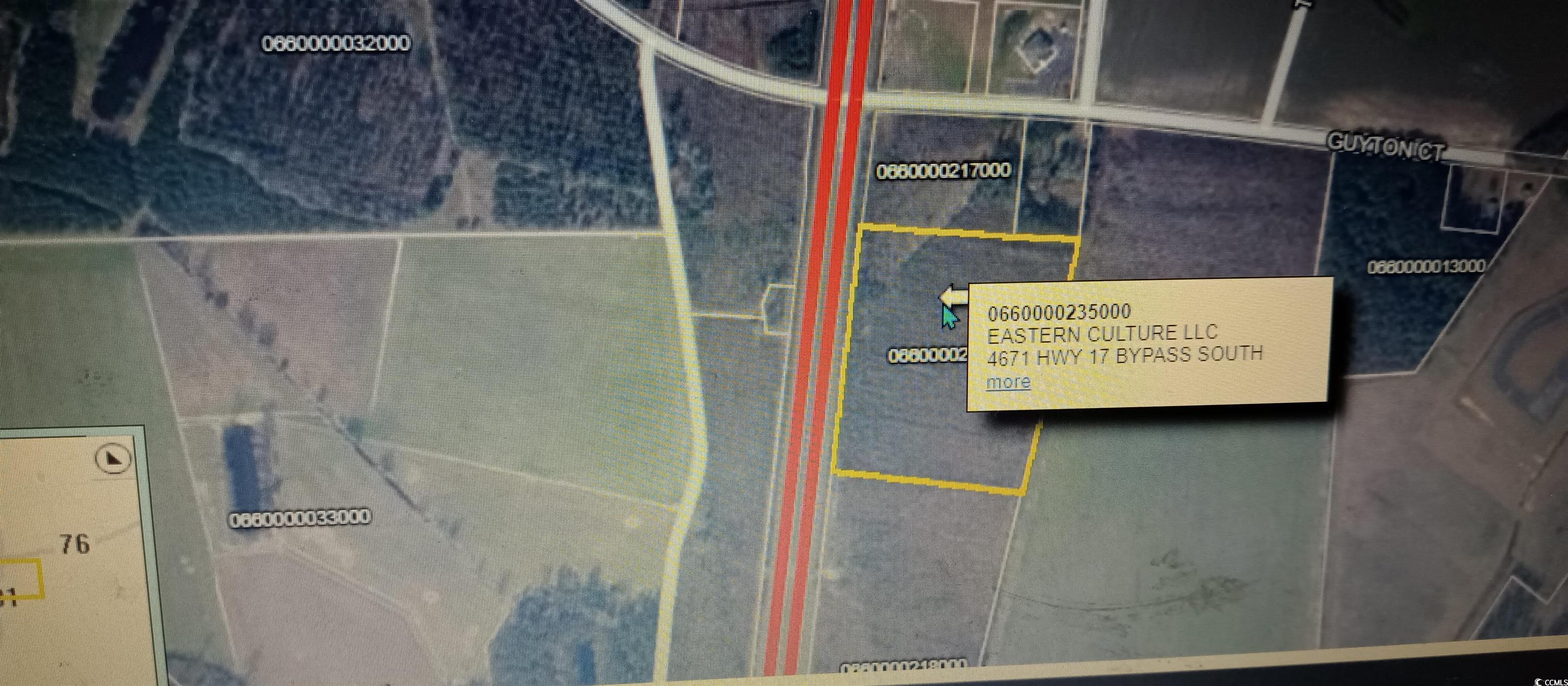 TBD Guyton Ct., Marion, South Carolina image 3