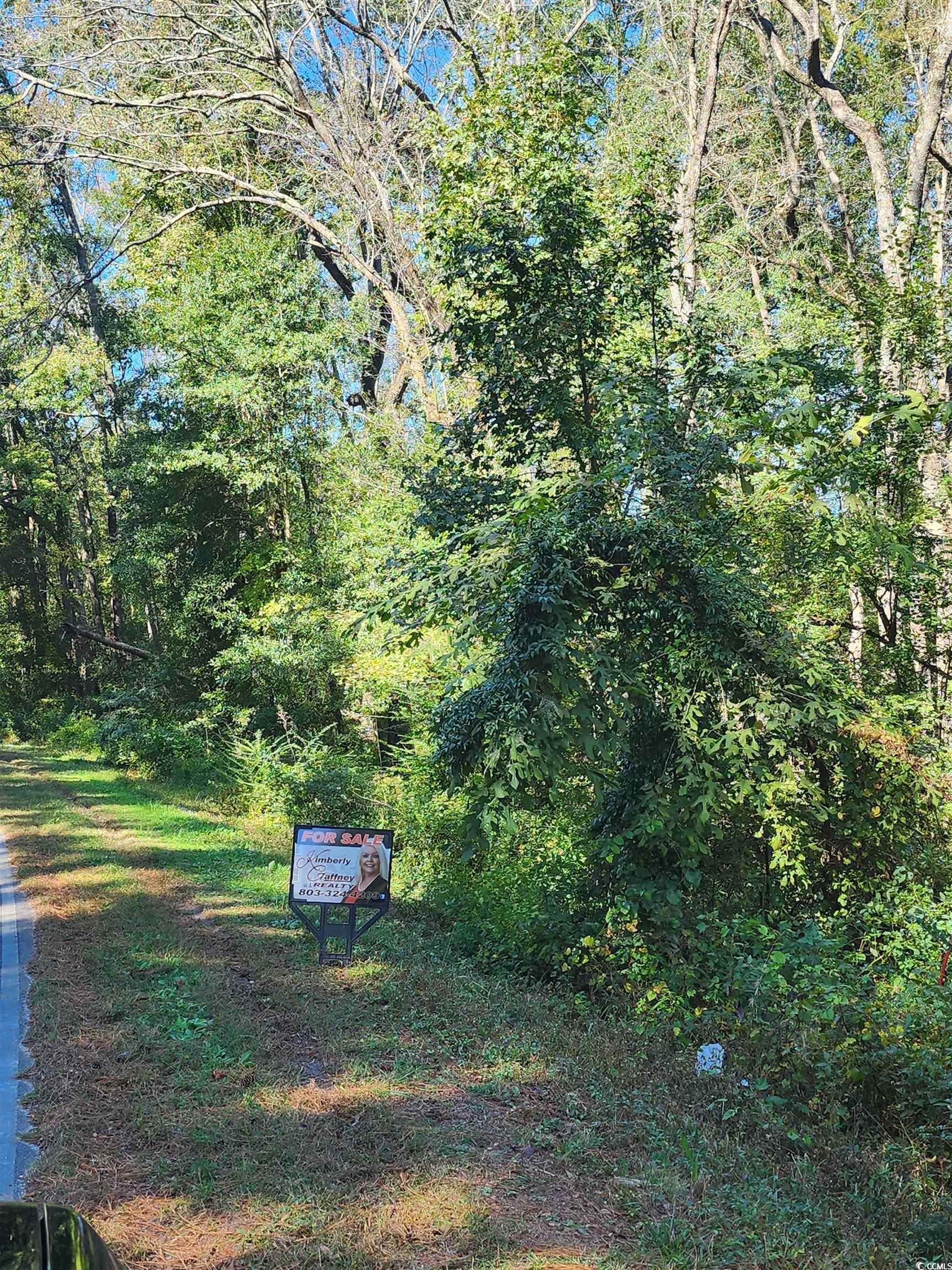 00 Bryant Circle, Maxton, North Carolina image 19