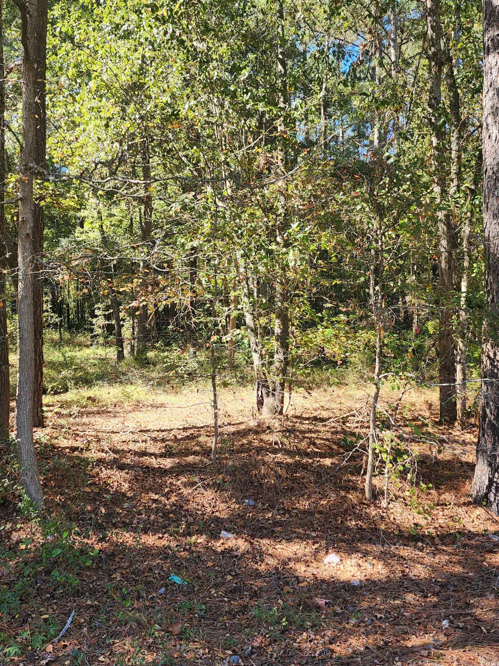 00 Bryant Circle, Maxton, North Carolina image 9