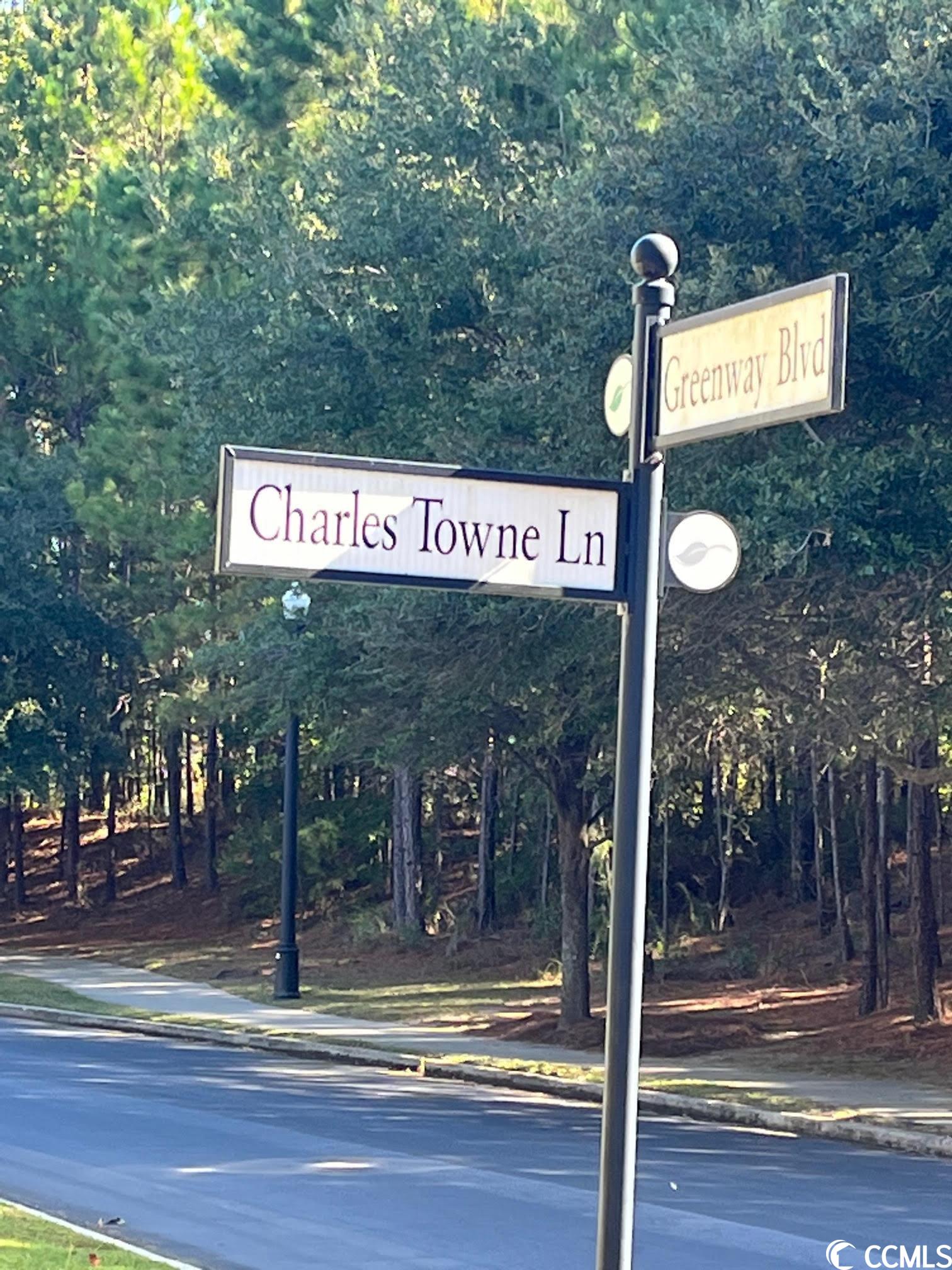 129 Charles Towne Ln., Murrells Inlet, South Carolina image 4