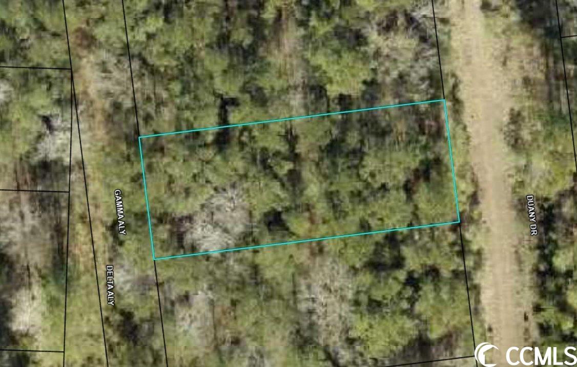 Lot 1075 Harmony Township Georgetown, SC 29440
