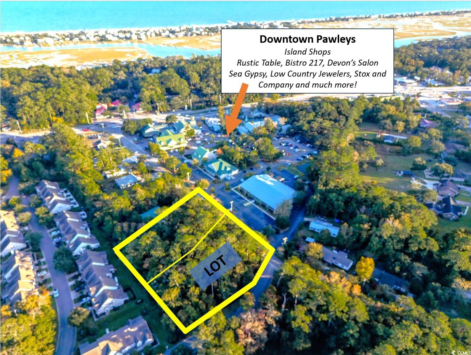 Lot TBD Professional Ln. Pawleys Island, SC 29585