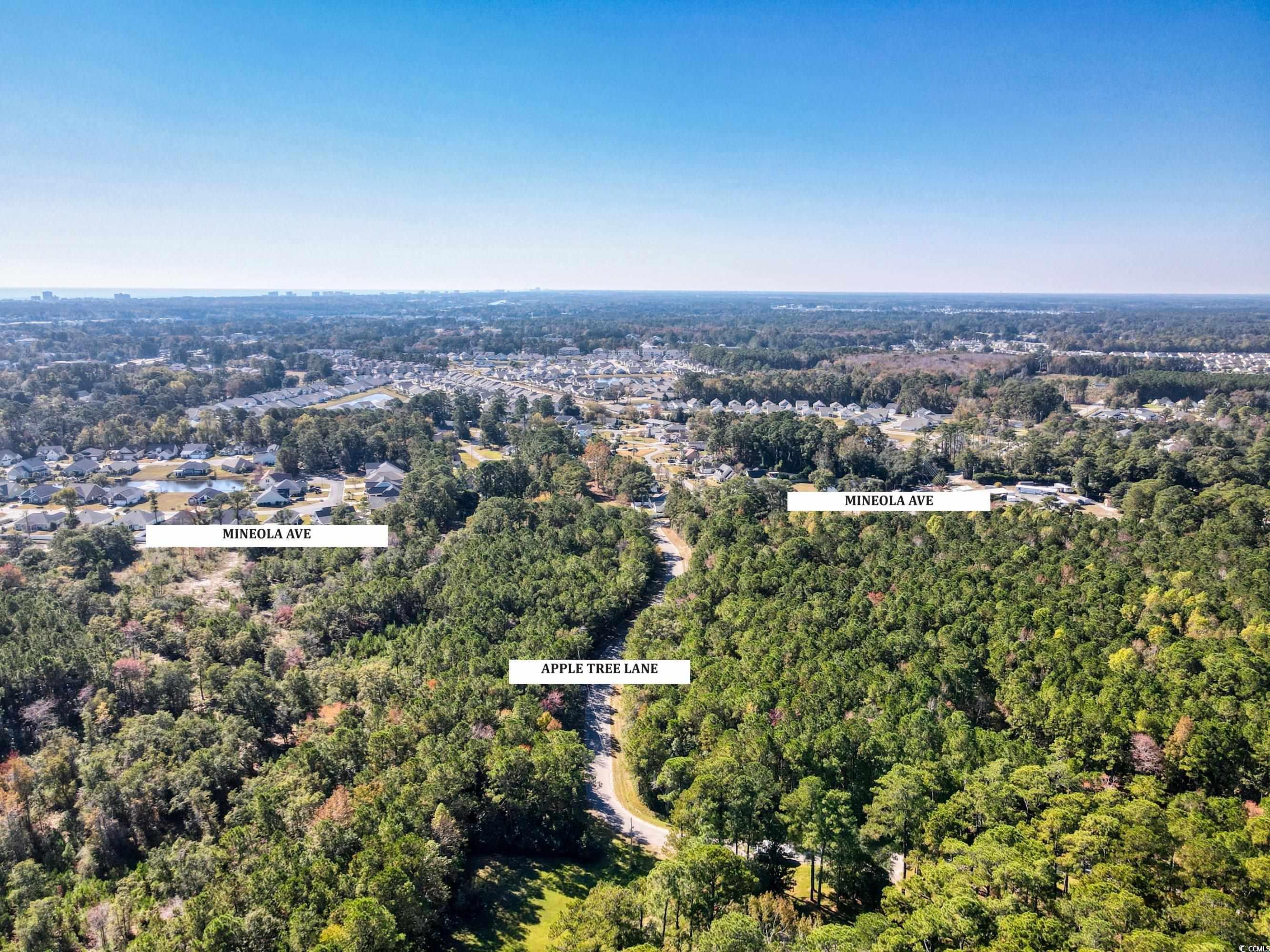 TBD1 Mineola Ave. Little River, SC 29566