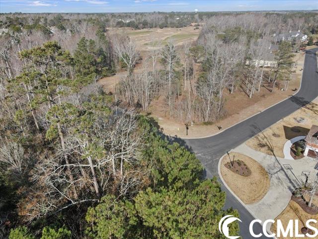 2201 Bentbill Circle North Myrtle Beach, SC 29582