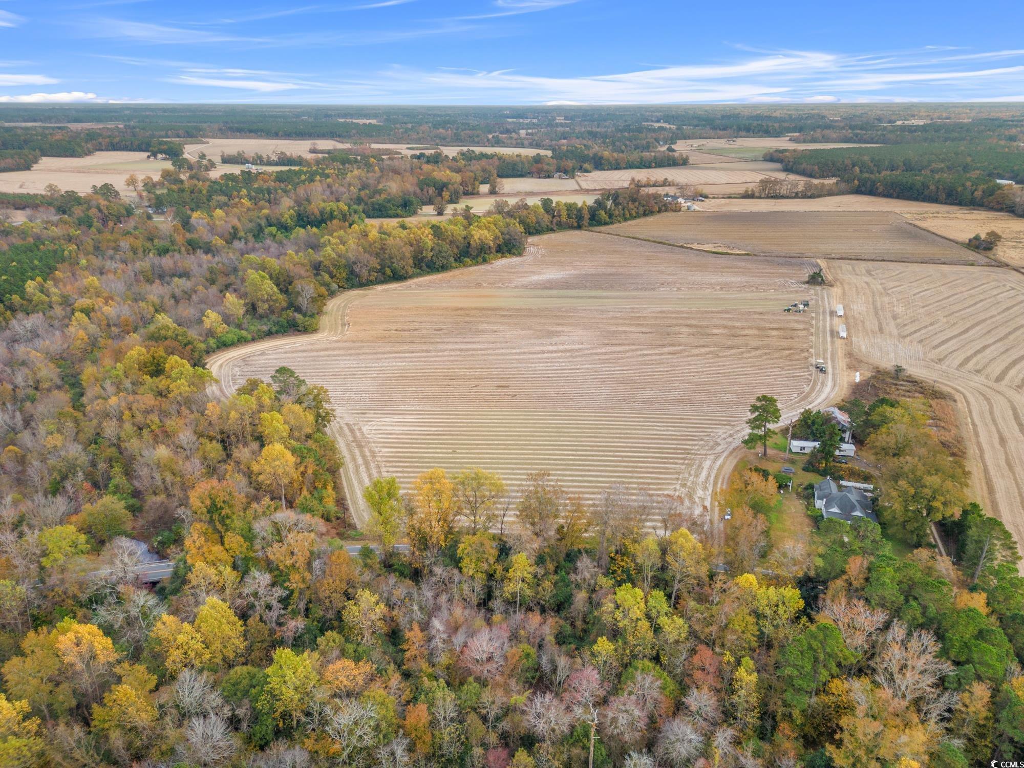 3125 Duford Rd., Nichols, South Carolina image 3