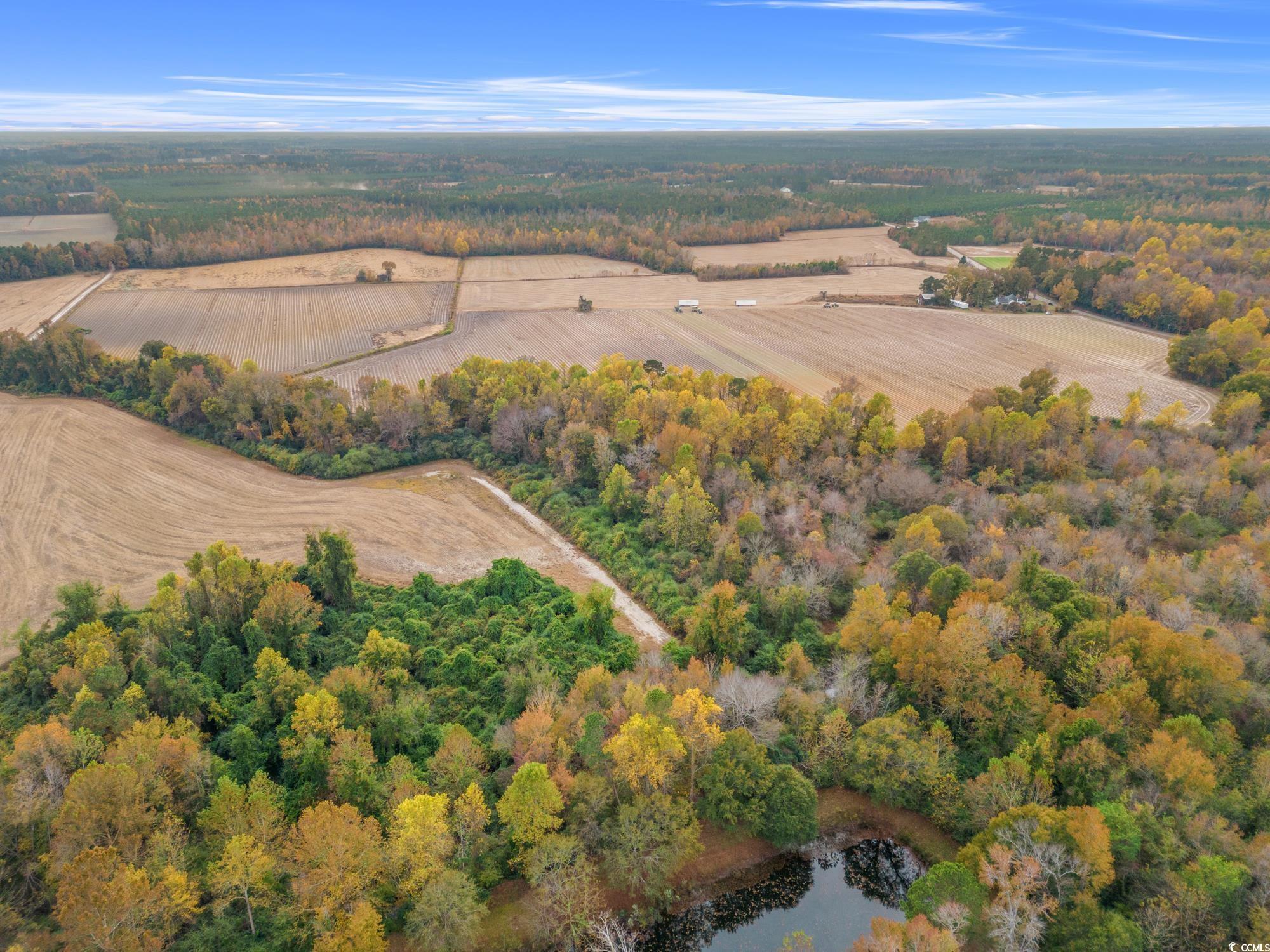 3125 Duford Rd., Nichols, South Carolina image 8