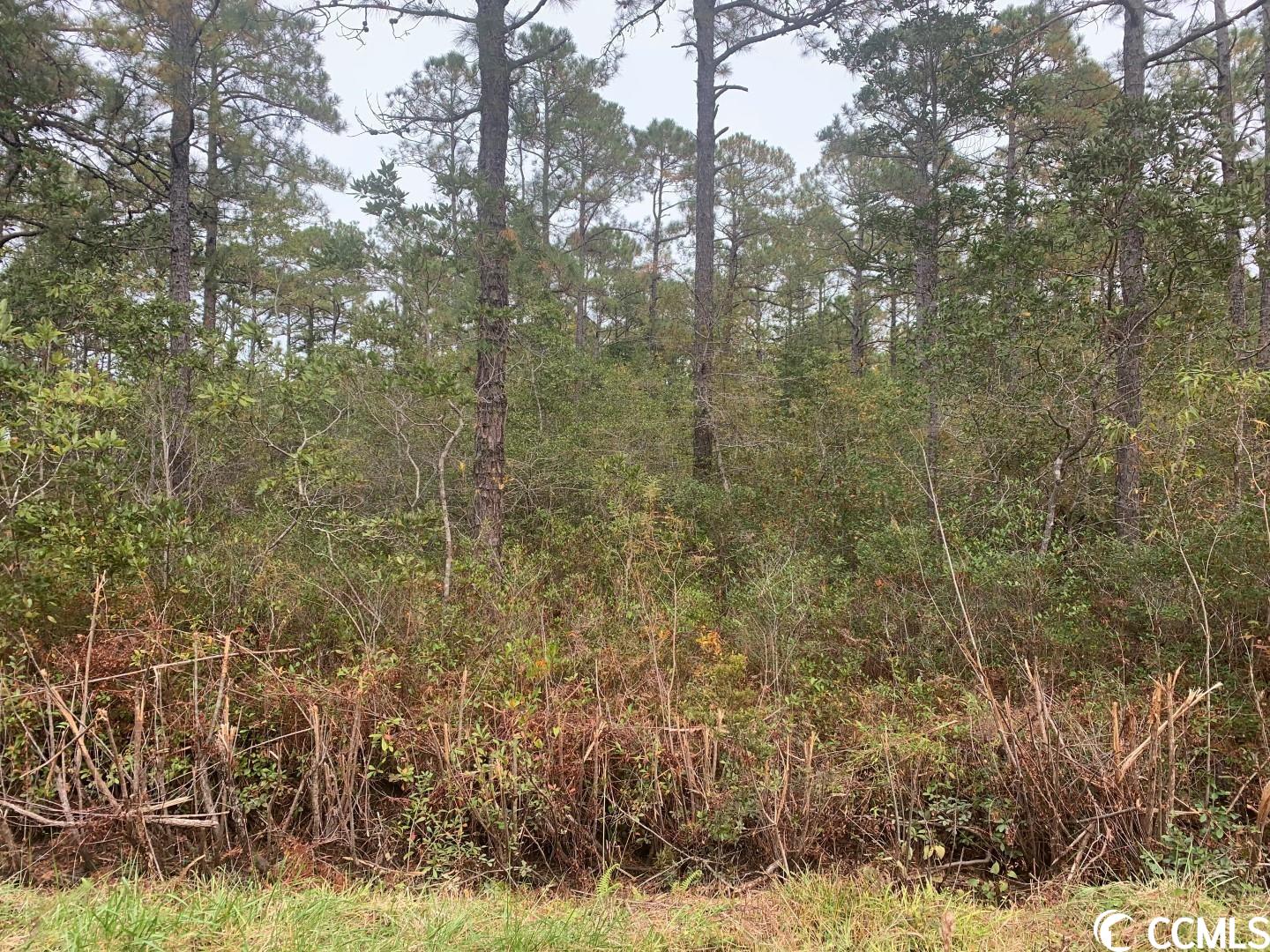 3 Thicketwood Dr. Calabash, NC 28467