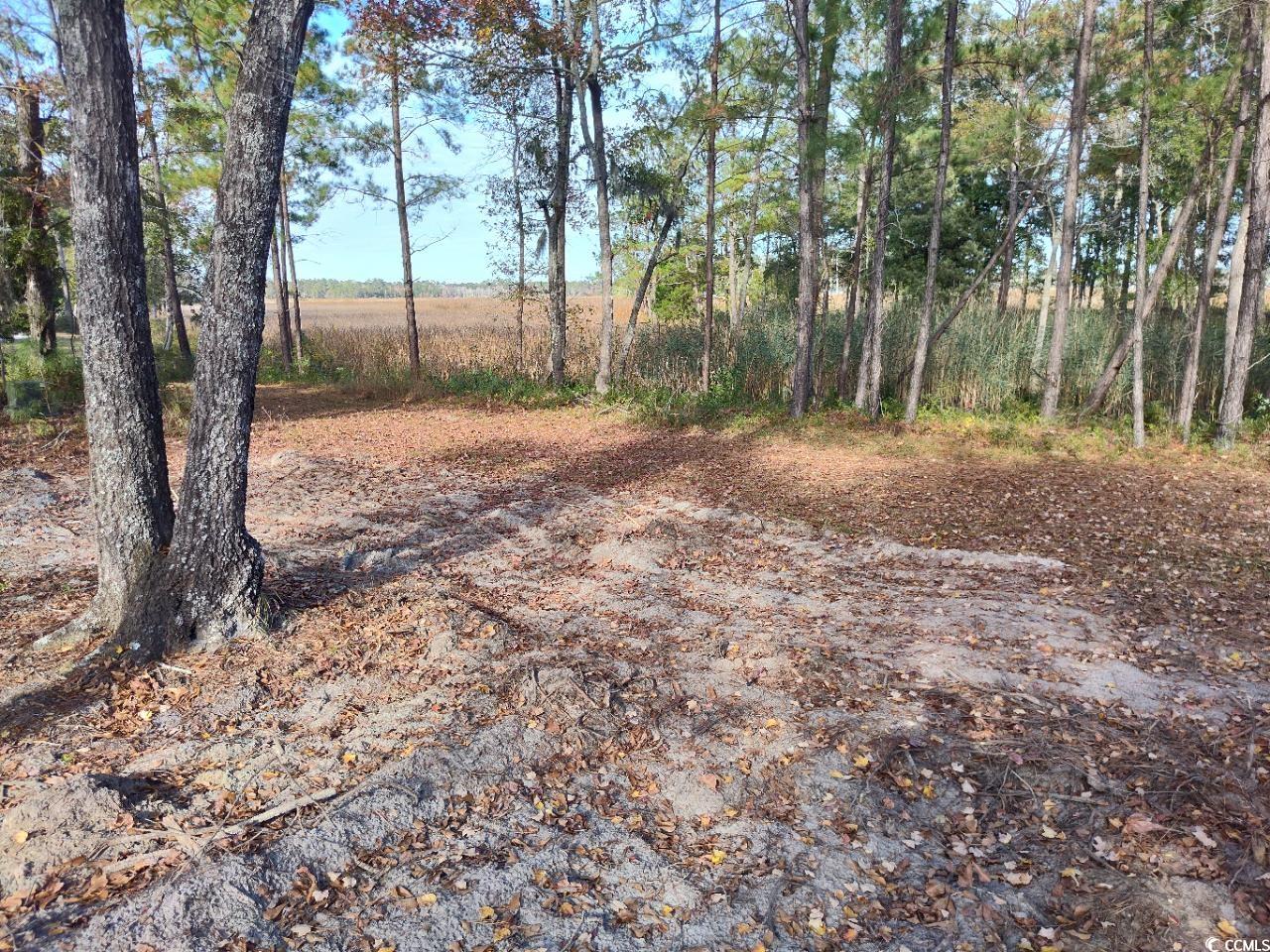 140 Madison Dr. Georgetown, SC 29440