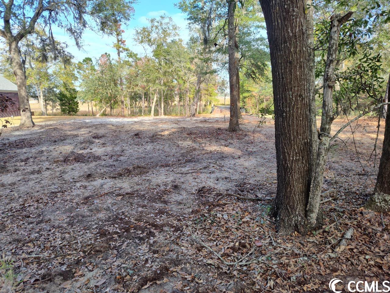 3768 Green Sea Rd., Green Sea, South Carolina image 8