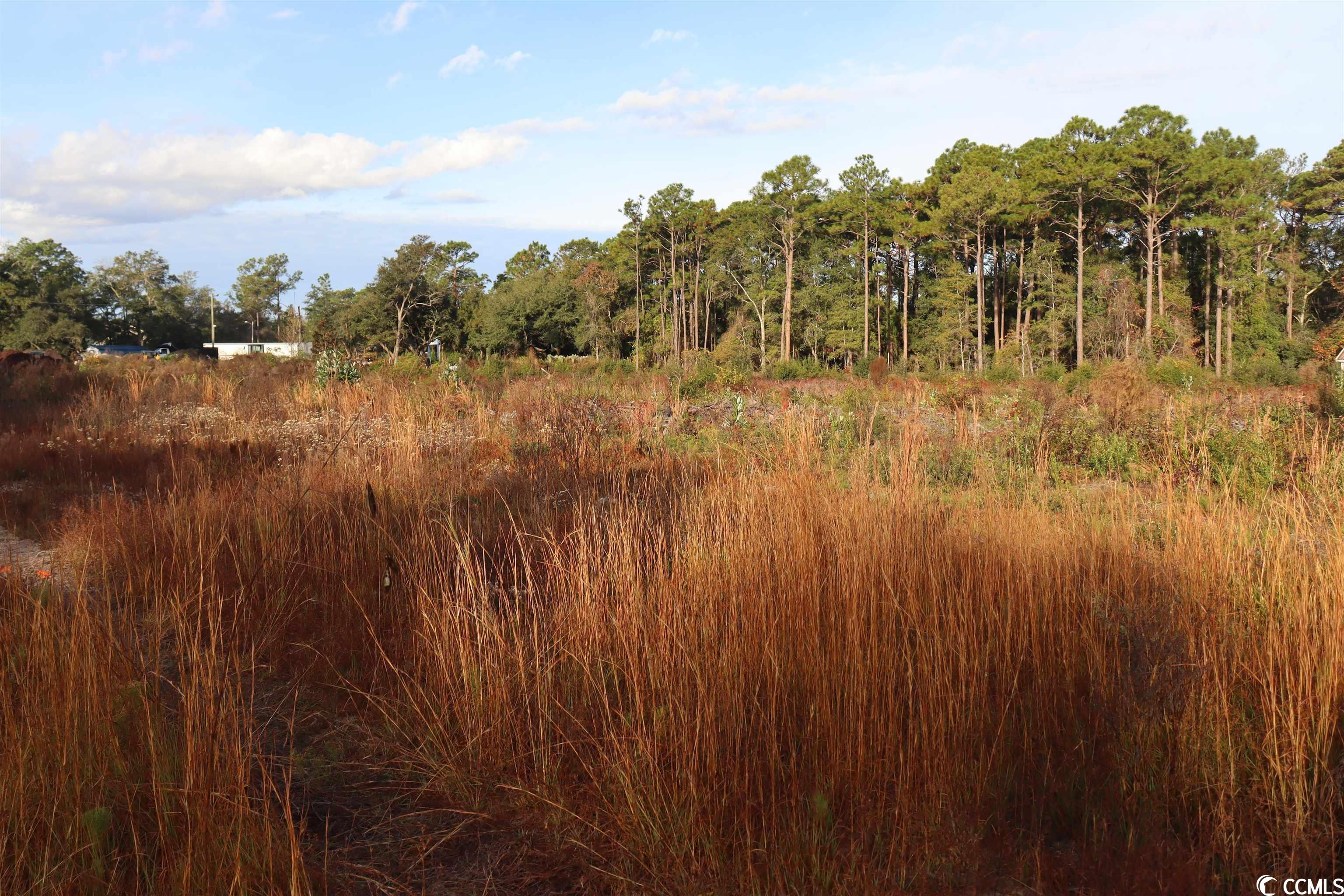 7765 Ocean Hwy., Pawleys Island, South Carolina image 1