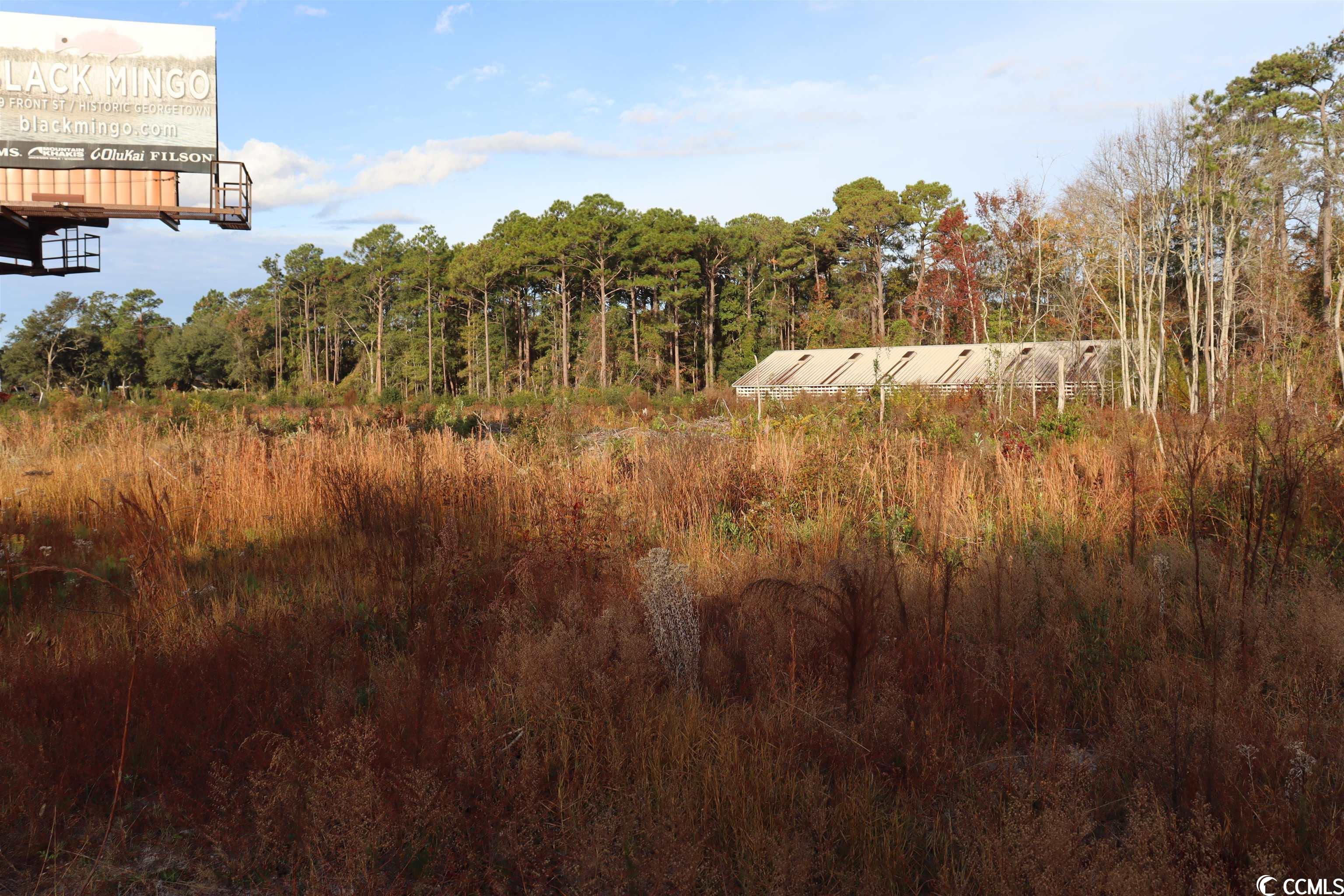 7765 Ocean Hwy., Pawleys Island, South Carolina image 4