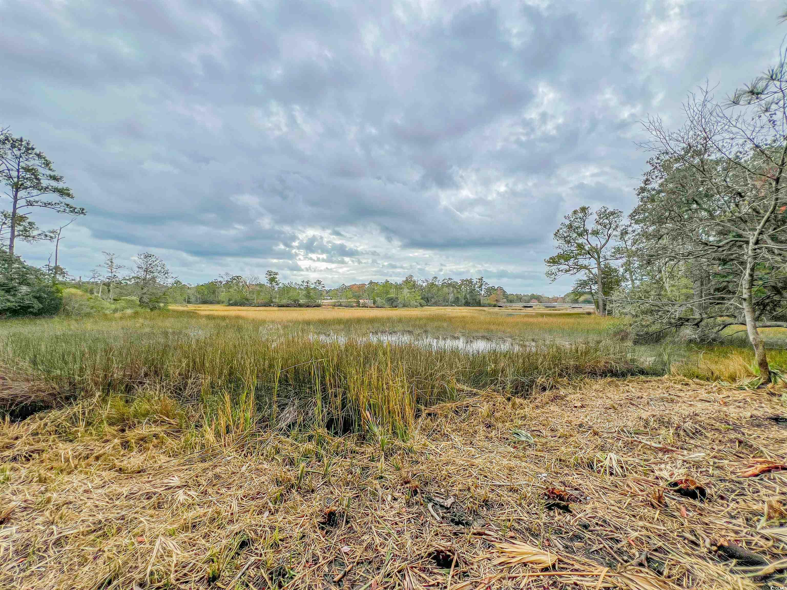 1176 Saucepan Oaks Trail Sw Shallotte, NC 28470