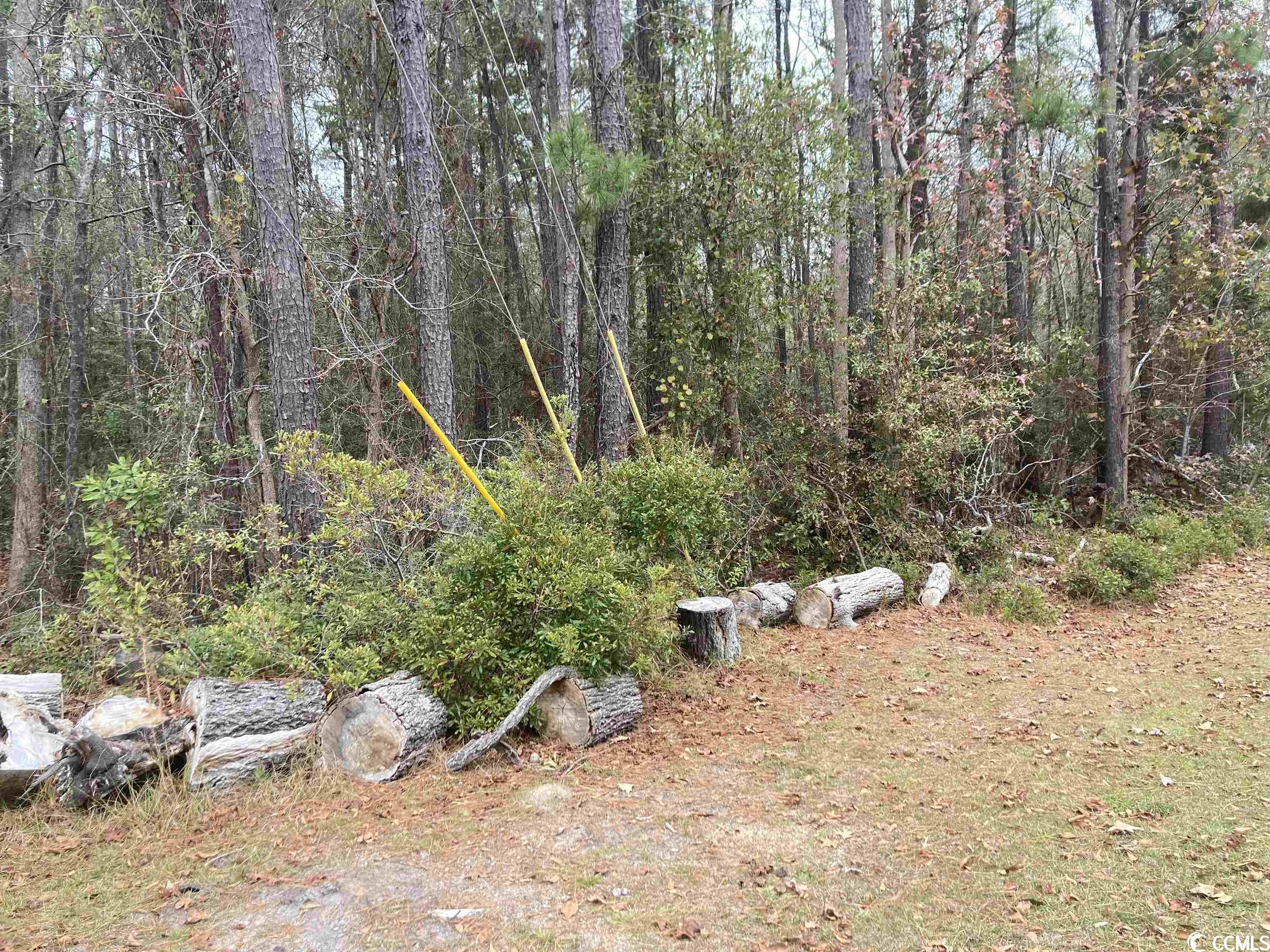 TBD Persimmon Ford Rd., Johnsonville, South Carolina image 4