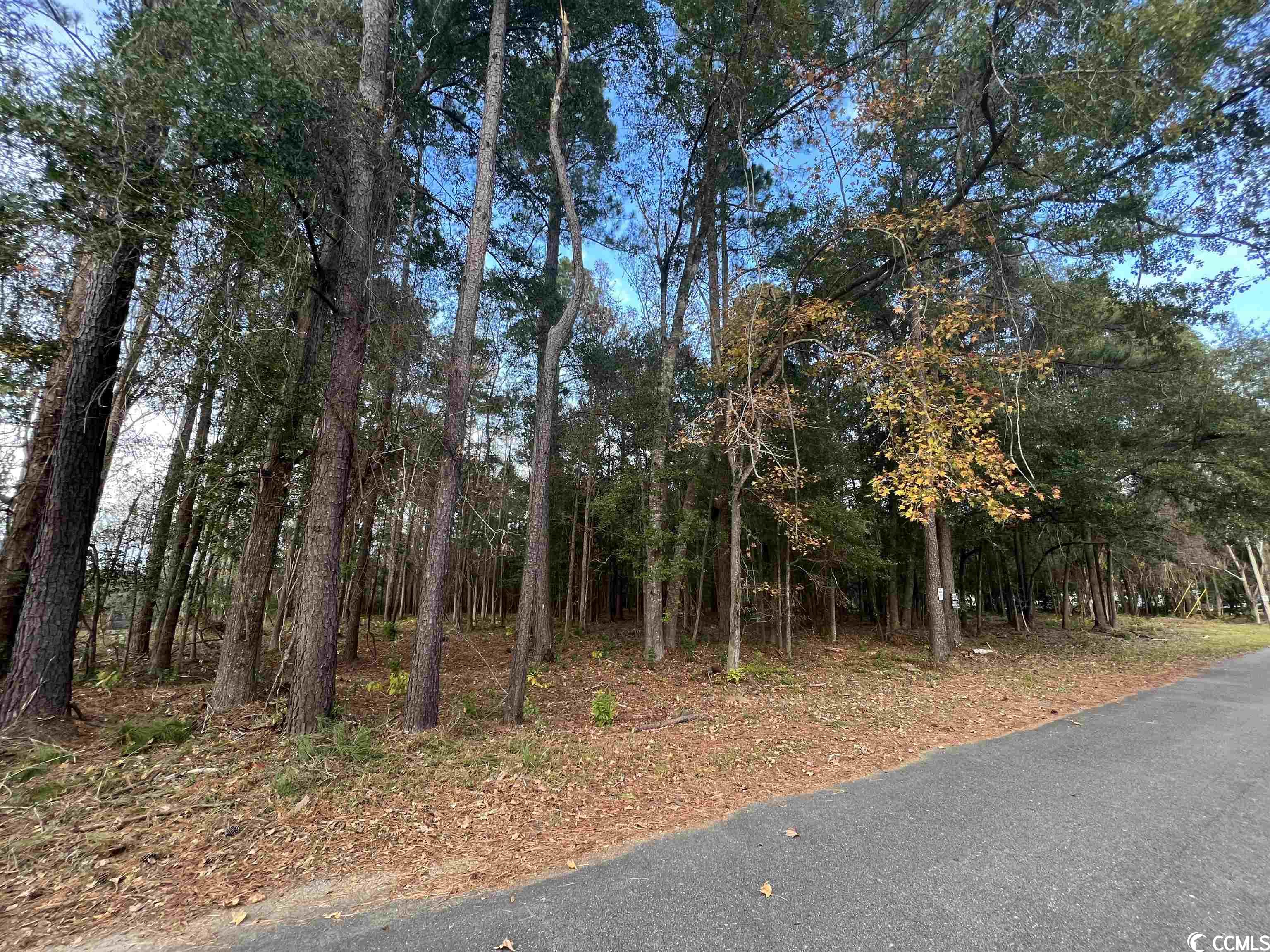 Lot 13 Comanche Dr., Georgetown, South Carolina image 1