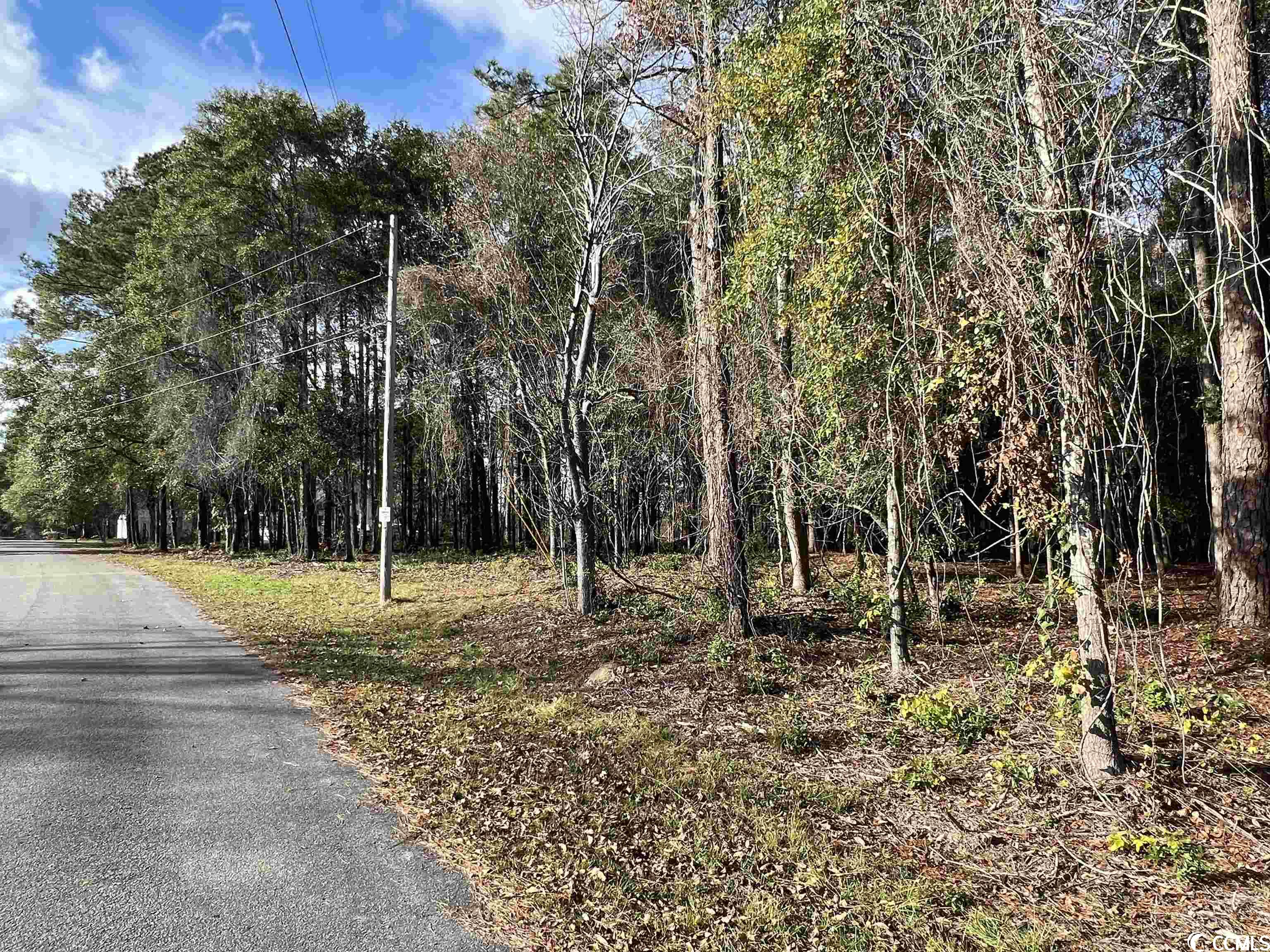 Lot 13 Comanche Dr., Georgetown, South Carolina image 7