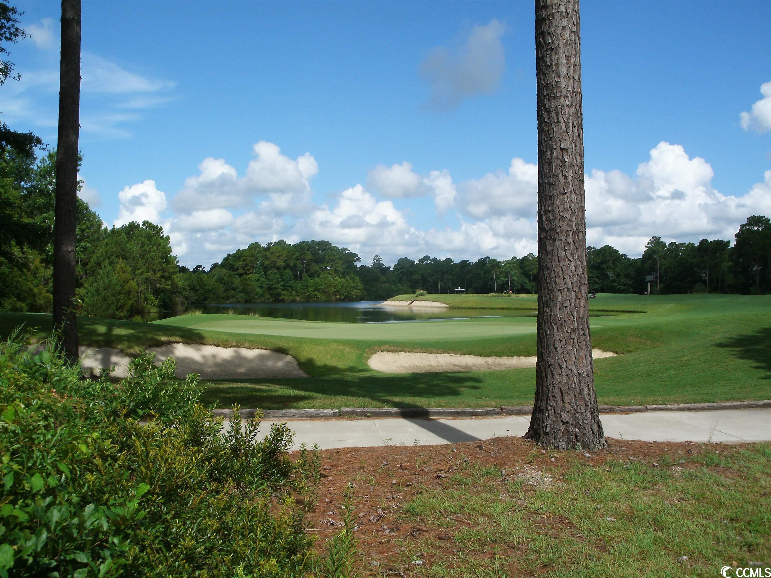 1125 Blue Stem Dr. #29-I, Pawleys Island, South Carolina image 19