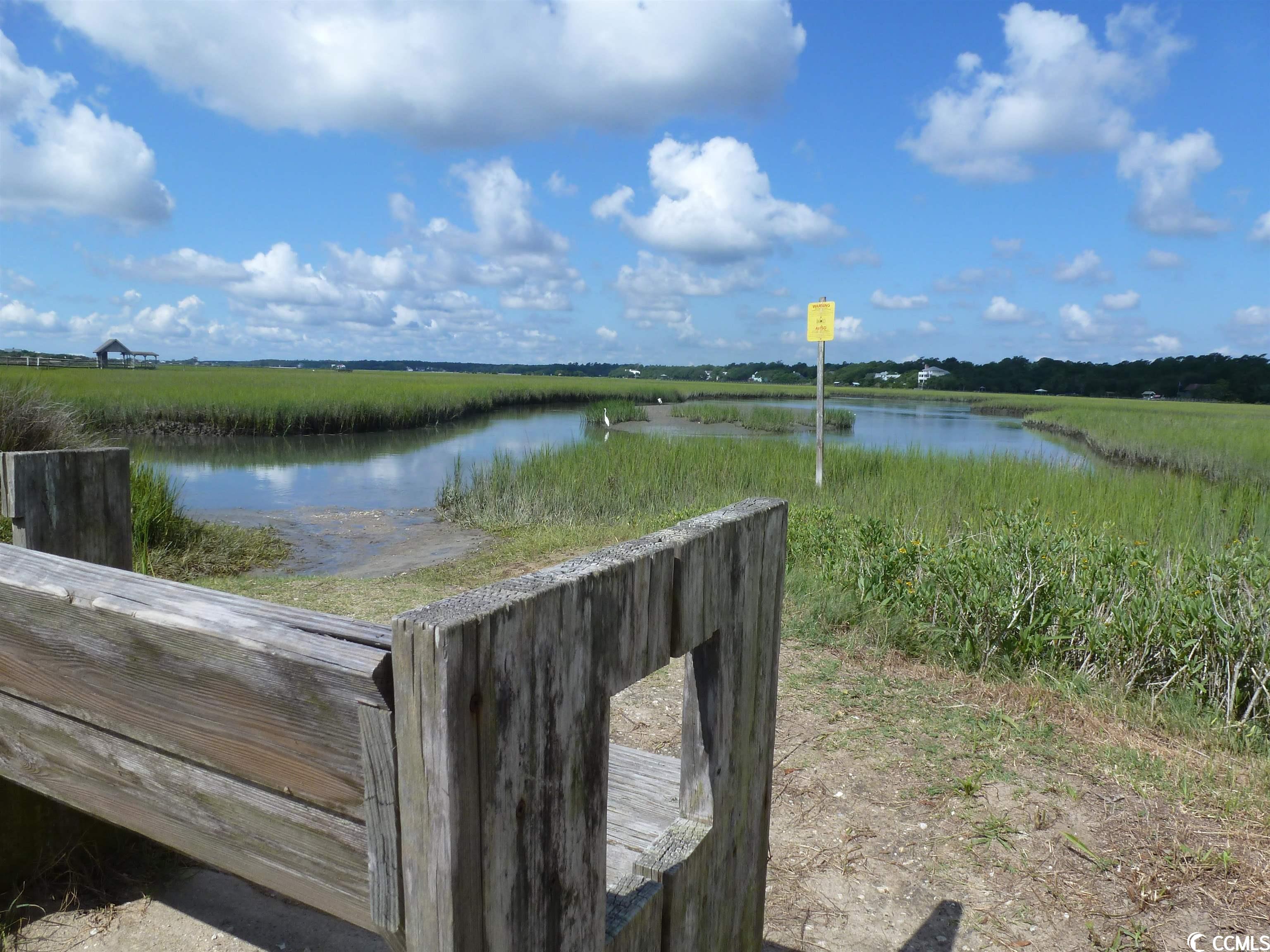 1125 Blue Stem Dr. #29-I, Pawleys Island, South Carolina image 21