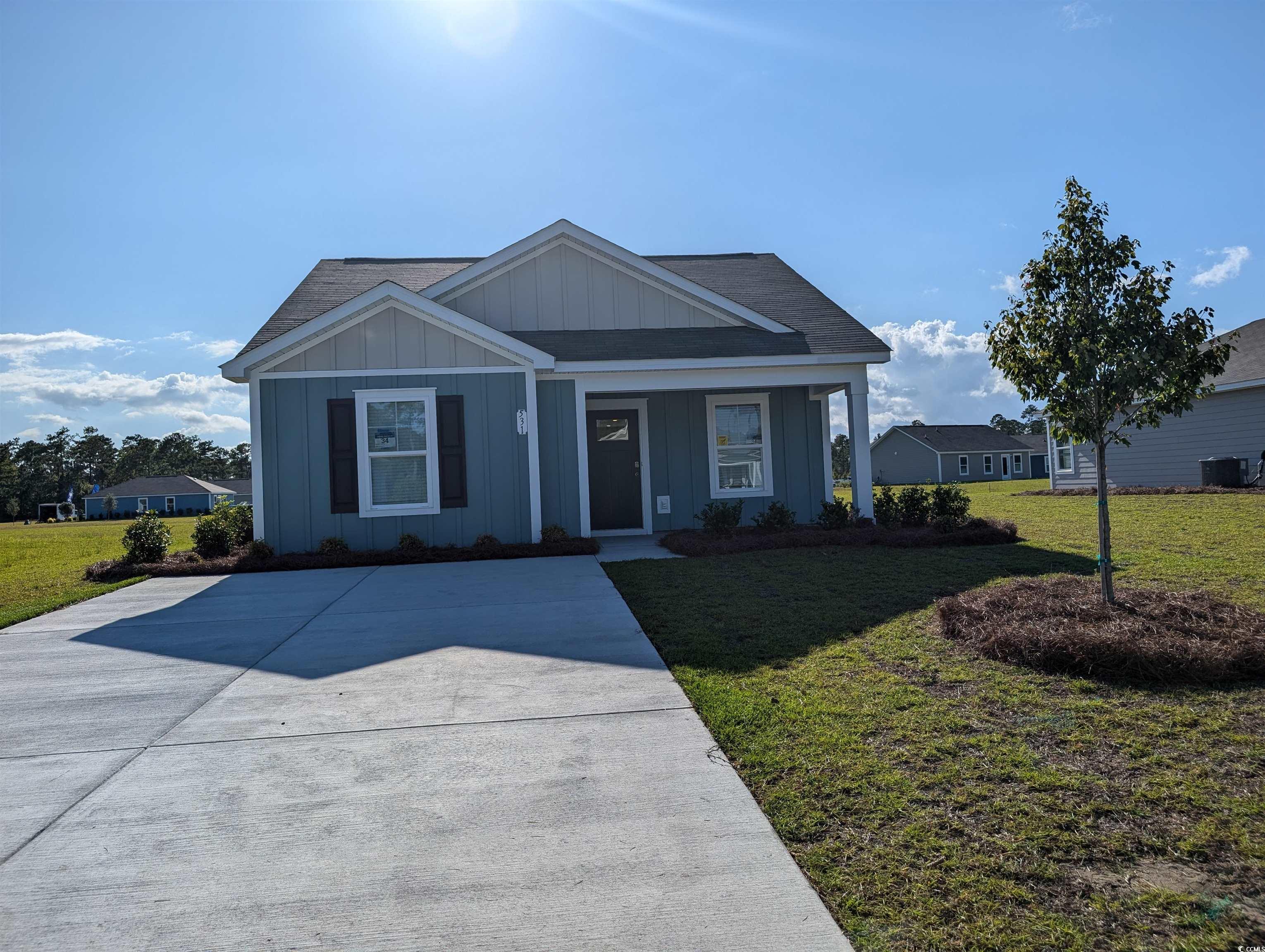 531 Gummy Bear Ct. Conway, SC 29526