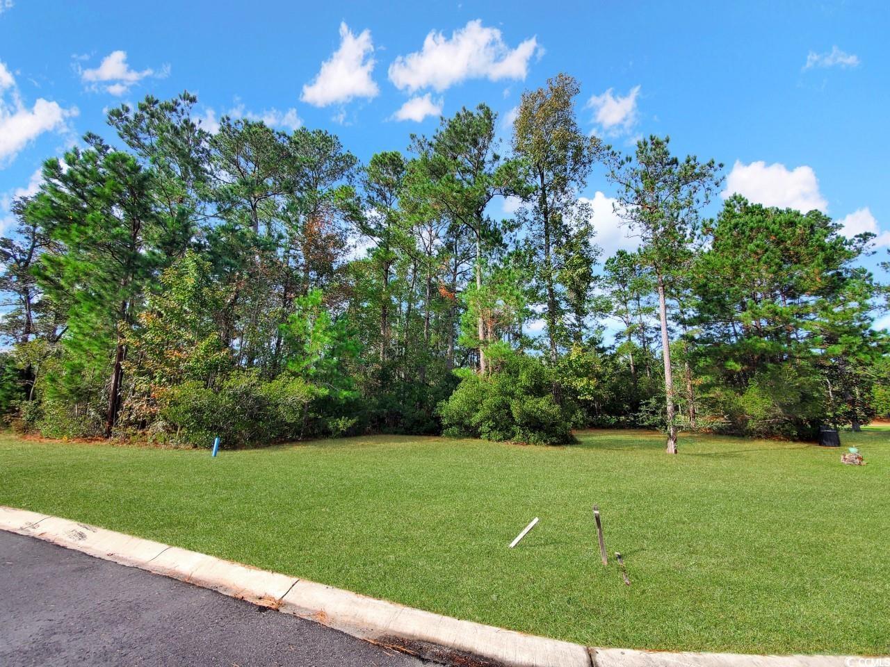 218 Putney Ct. Conway, SC 29526