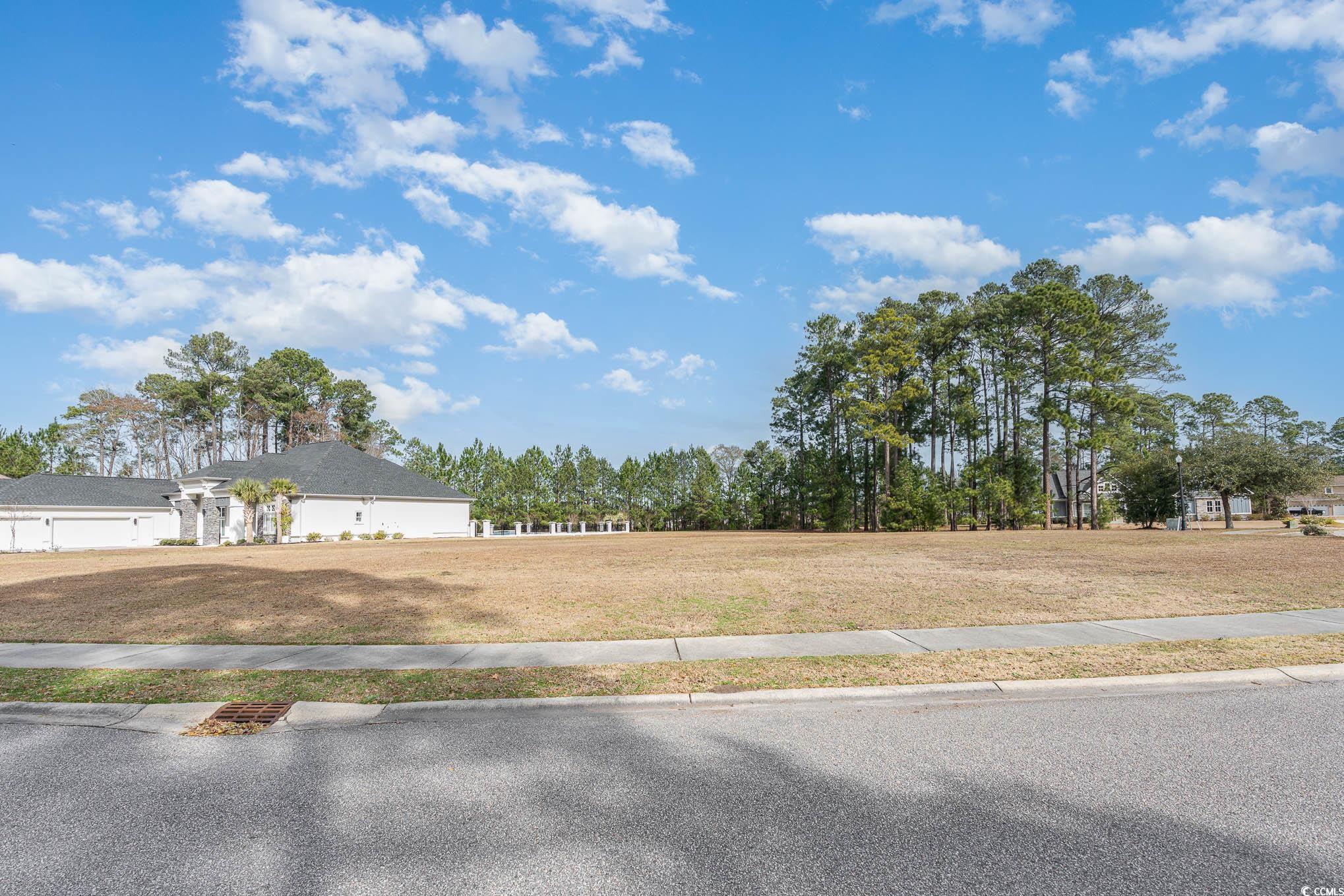 1064 Wigeon Dr., Conway, South Carolina image 14