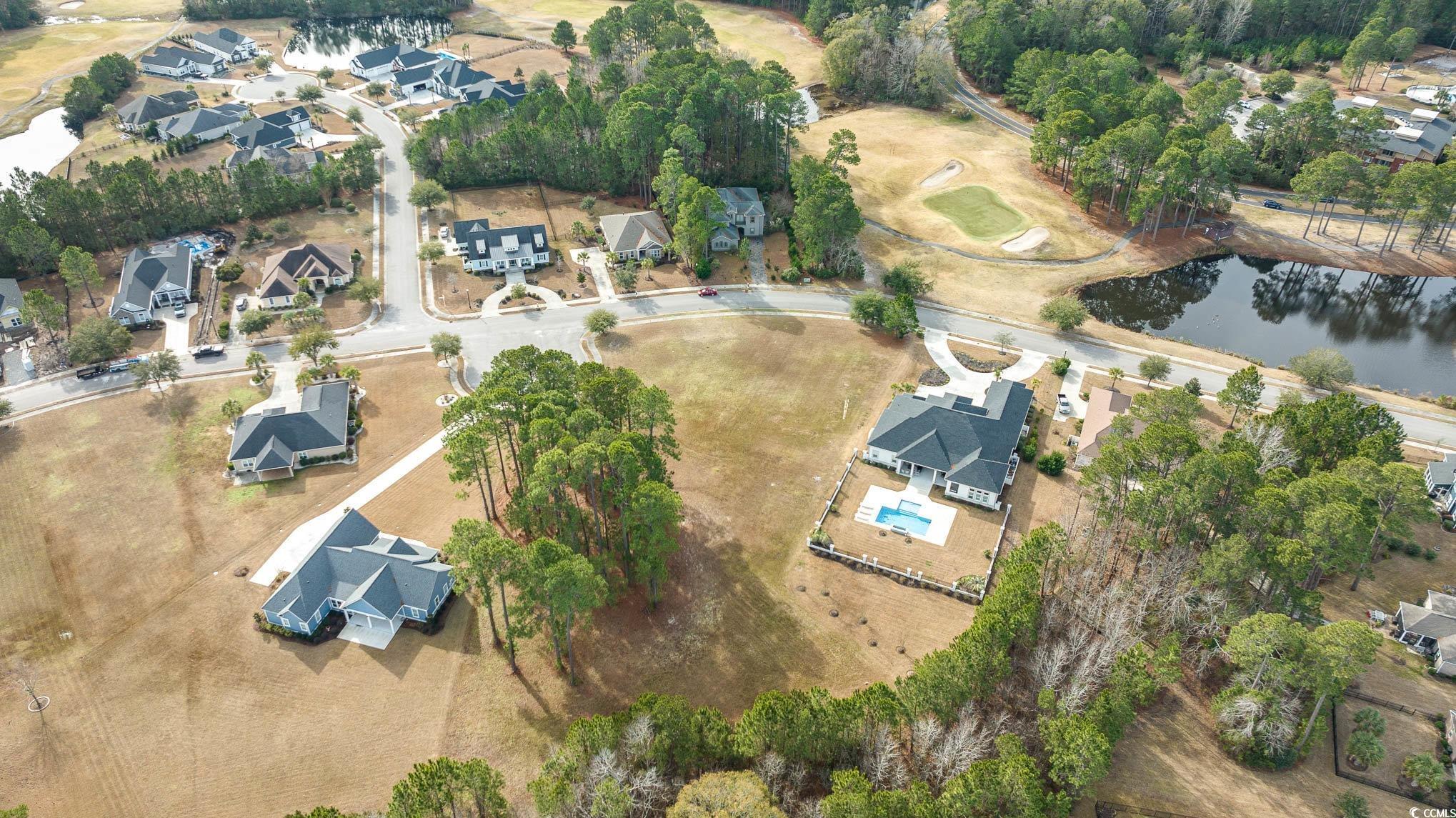 1064 Wigeon Dr., Conway, South Carolina image 9