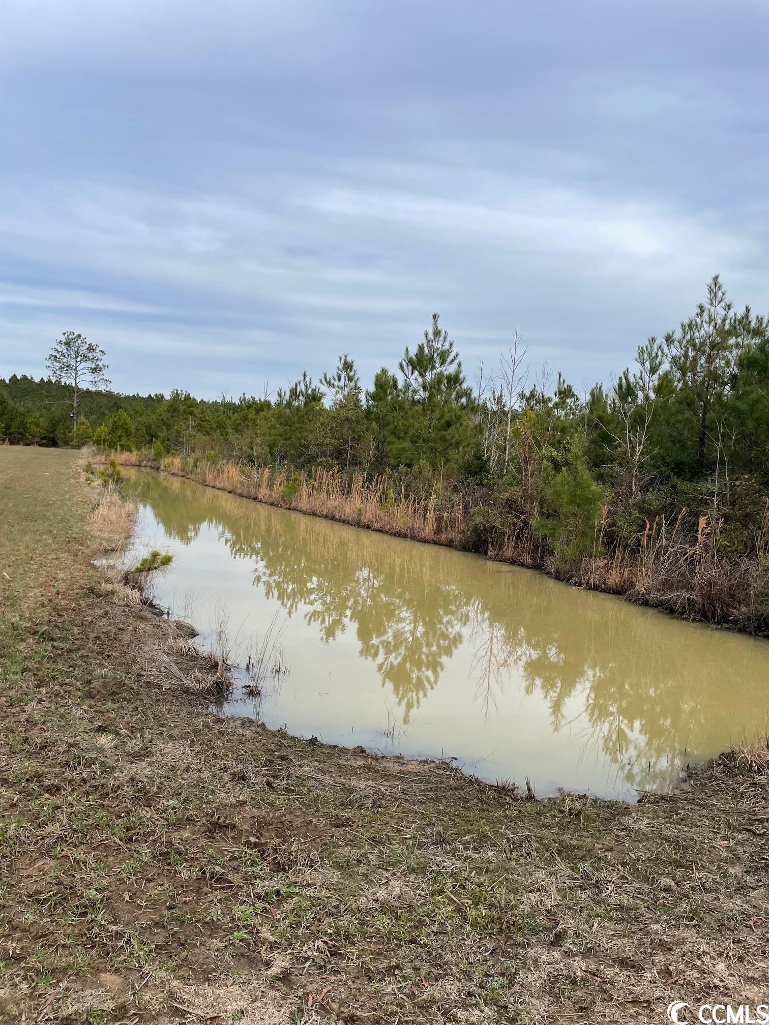 TBD Old Reaves Ferry Rd., Conway, South Carolina image 8