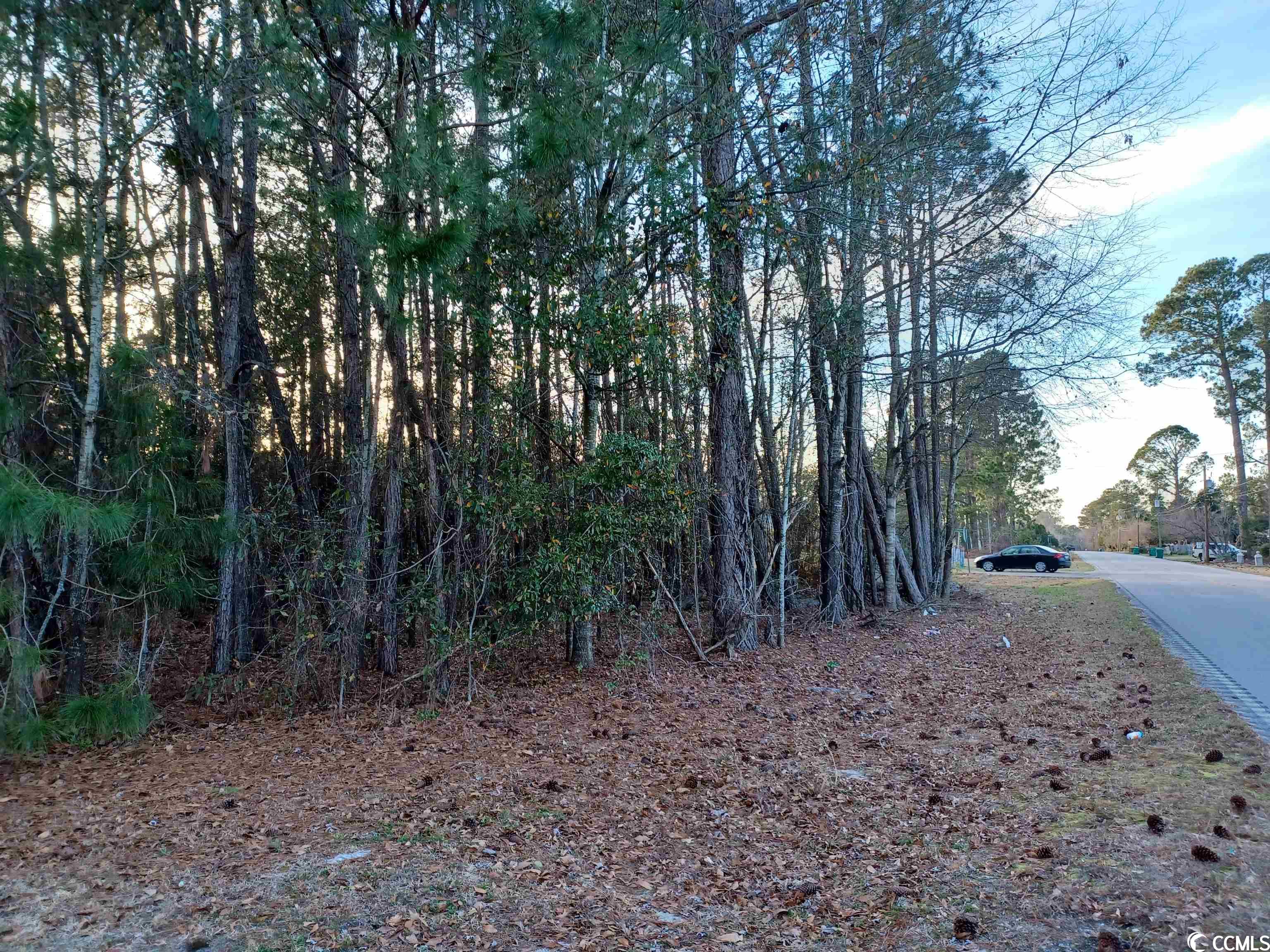 Lot 1C Peach Tree Rd., Marion, South Carolina image 1