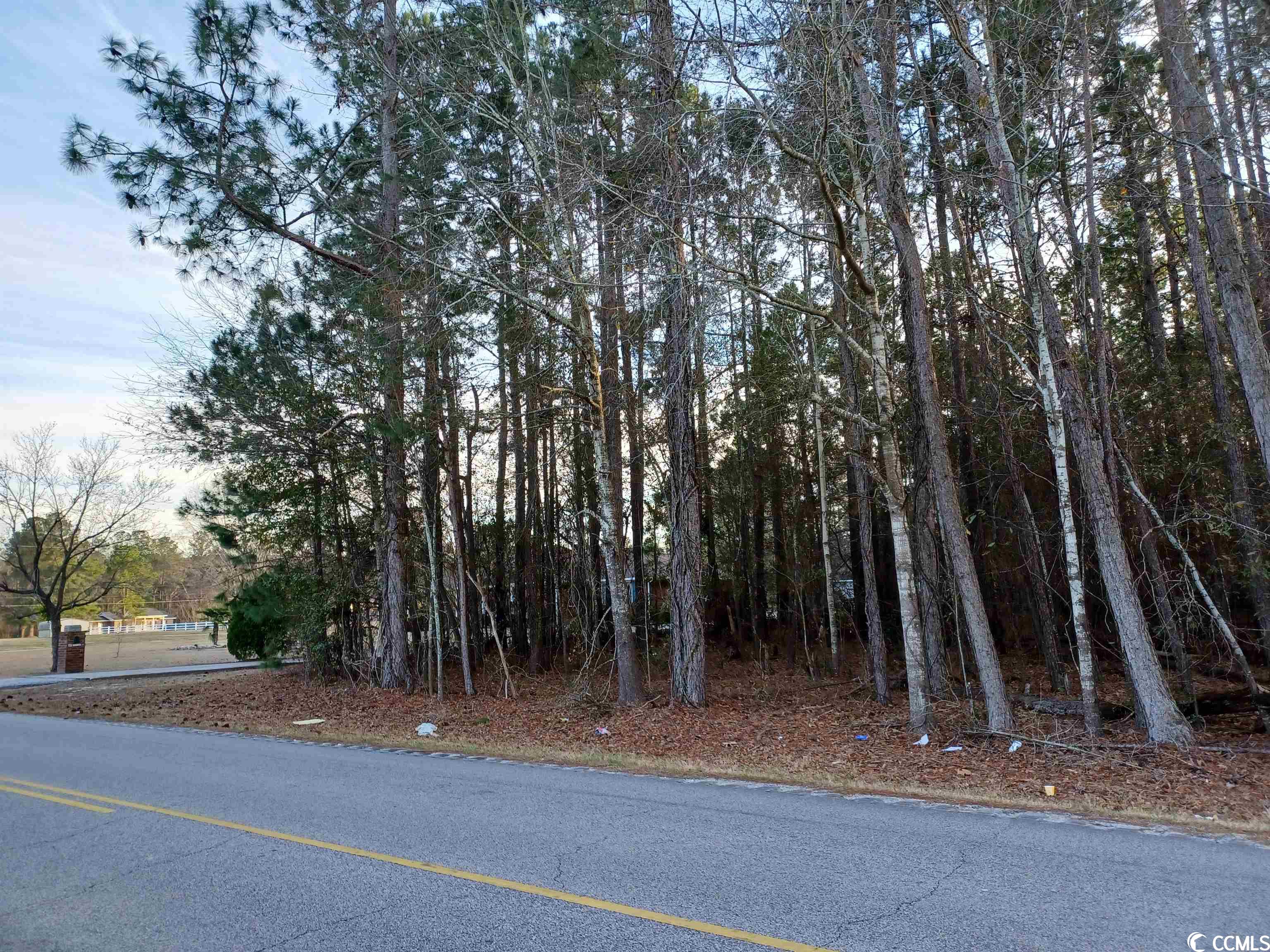 Lot 1C Peach Tree Rd., Marion, South Carolina image 2