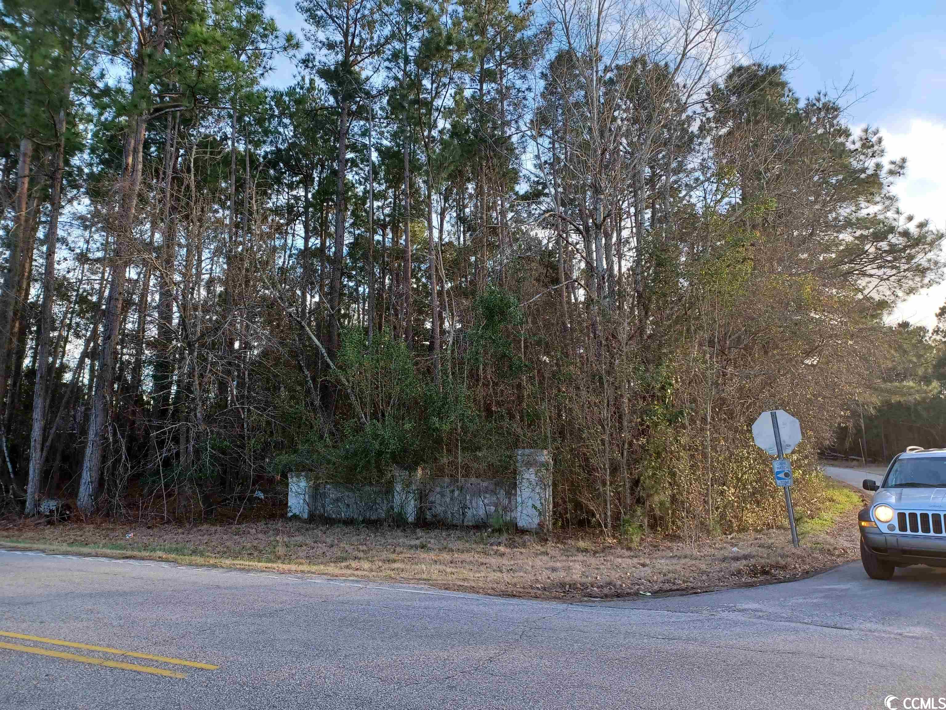 Lot 1C Peach Tree Rd., Marion, South Carolina image 3