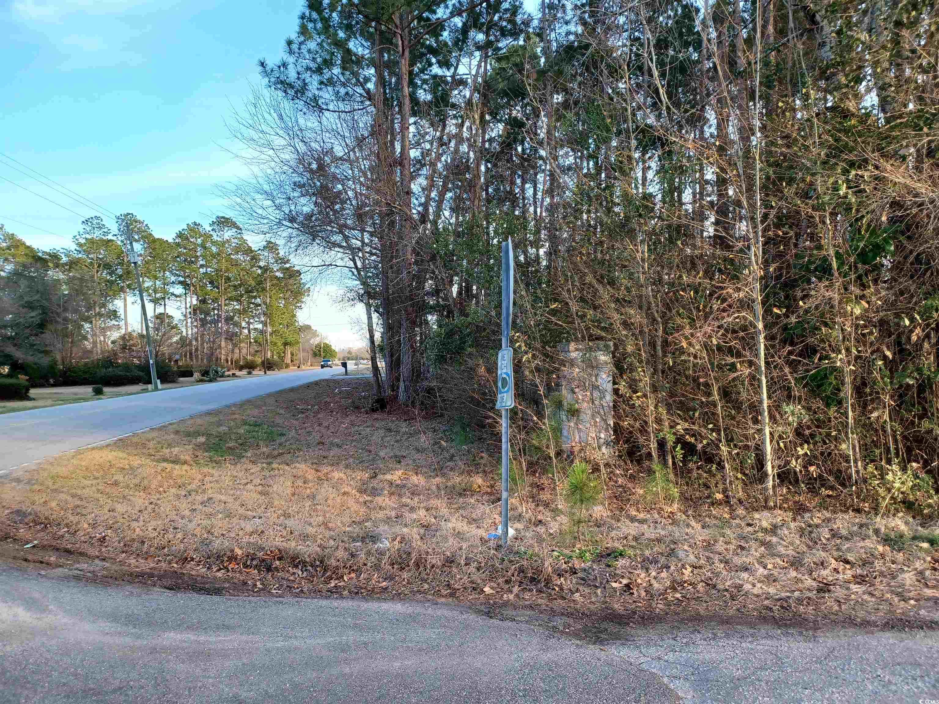 Lot 1C Peach Tree Rd., Marion, South Carolina image 4