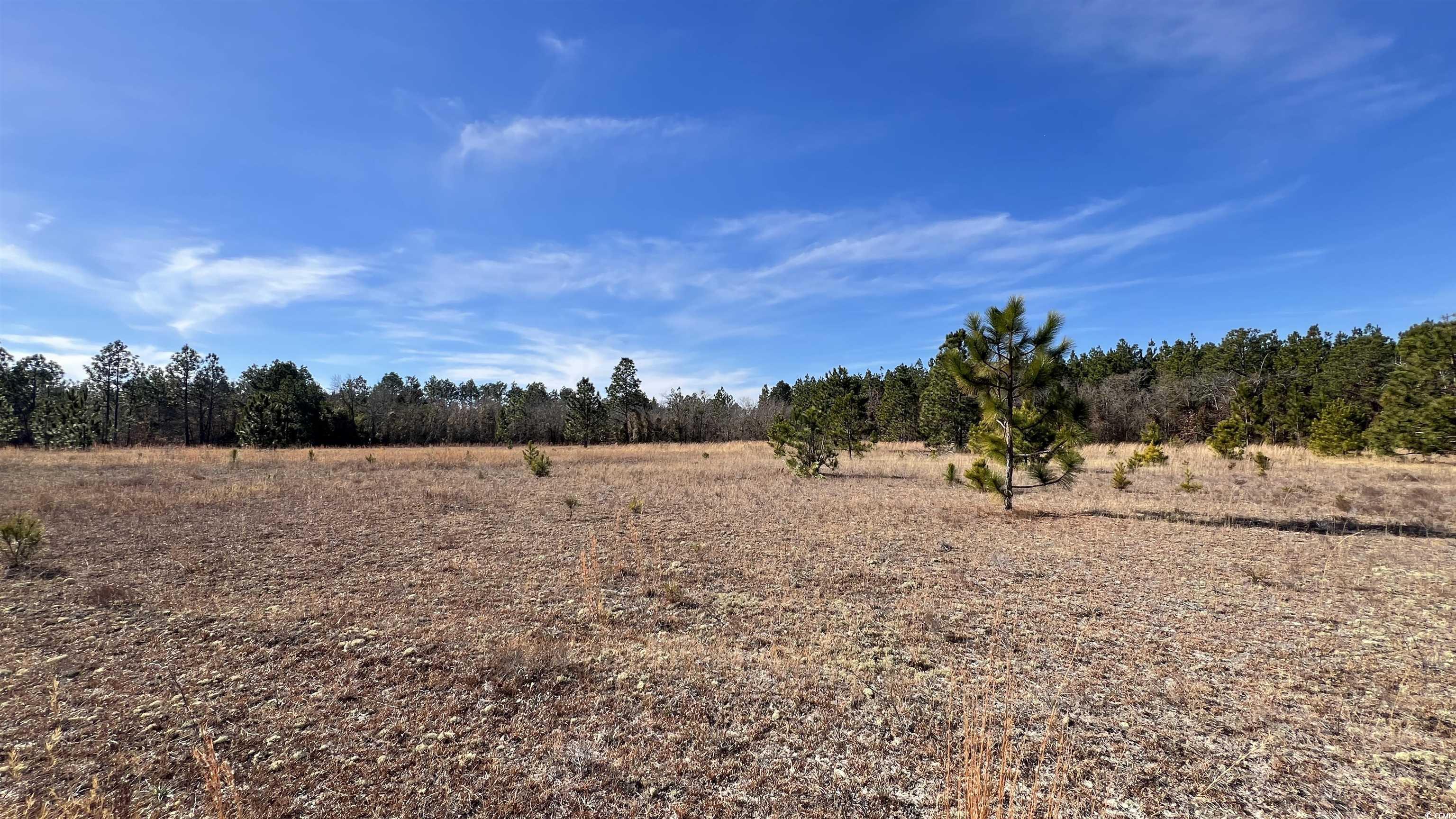 TBD4 Kickapoo Dr., Green Sea, South Carolina image 13