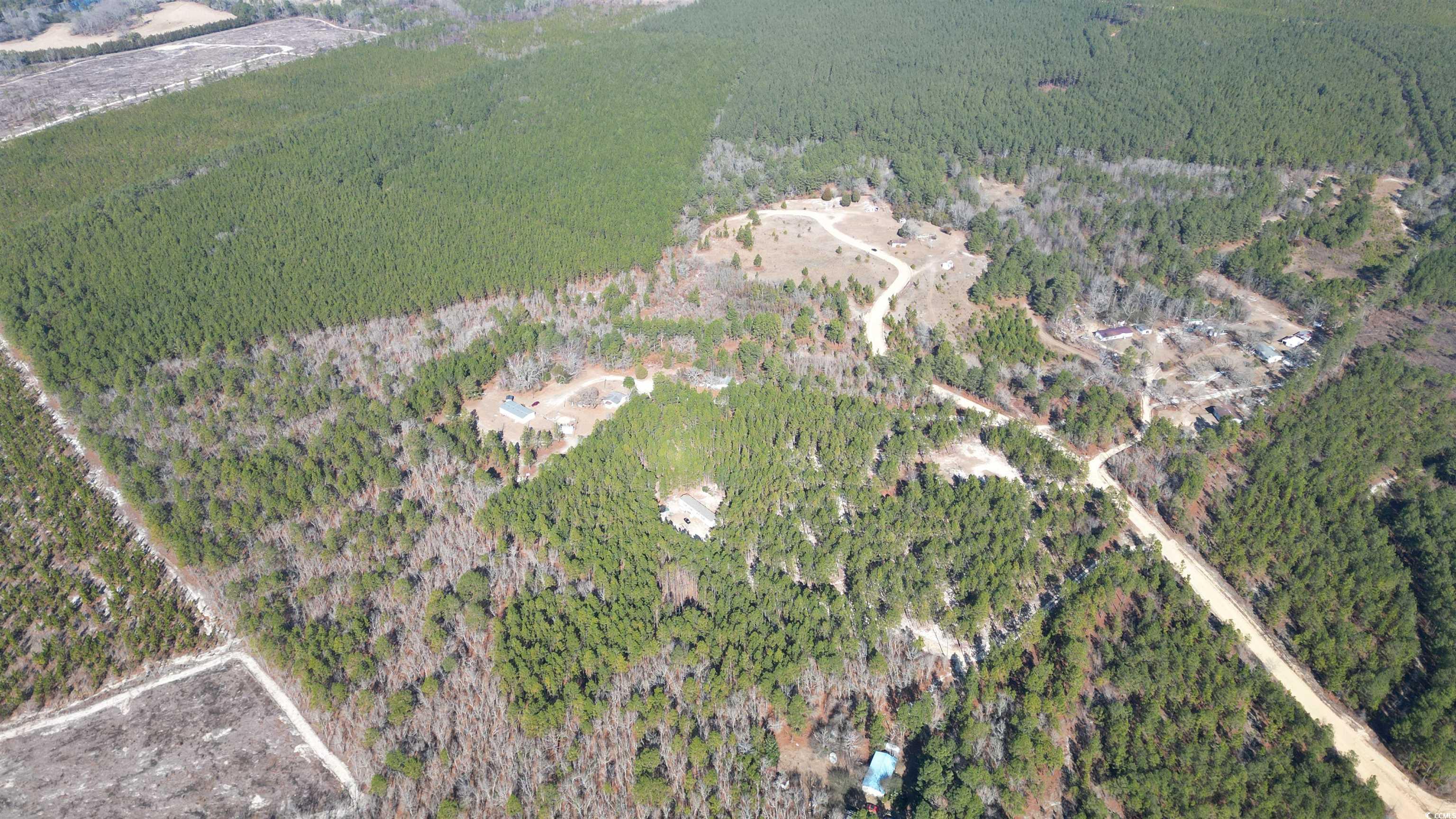 TBD4 Kickapoo Dr., Green Sea, South Carolina image 2