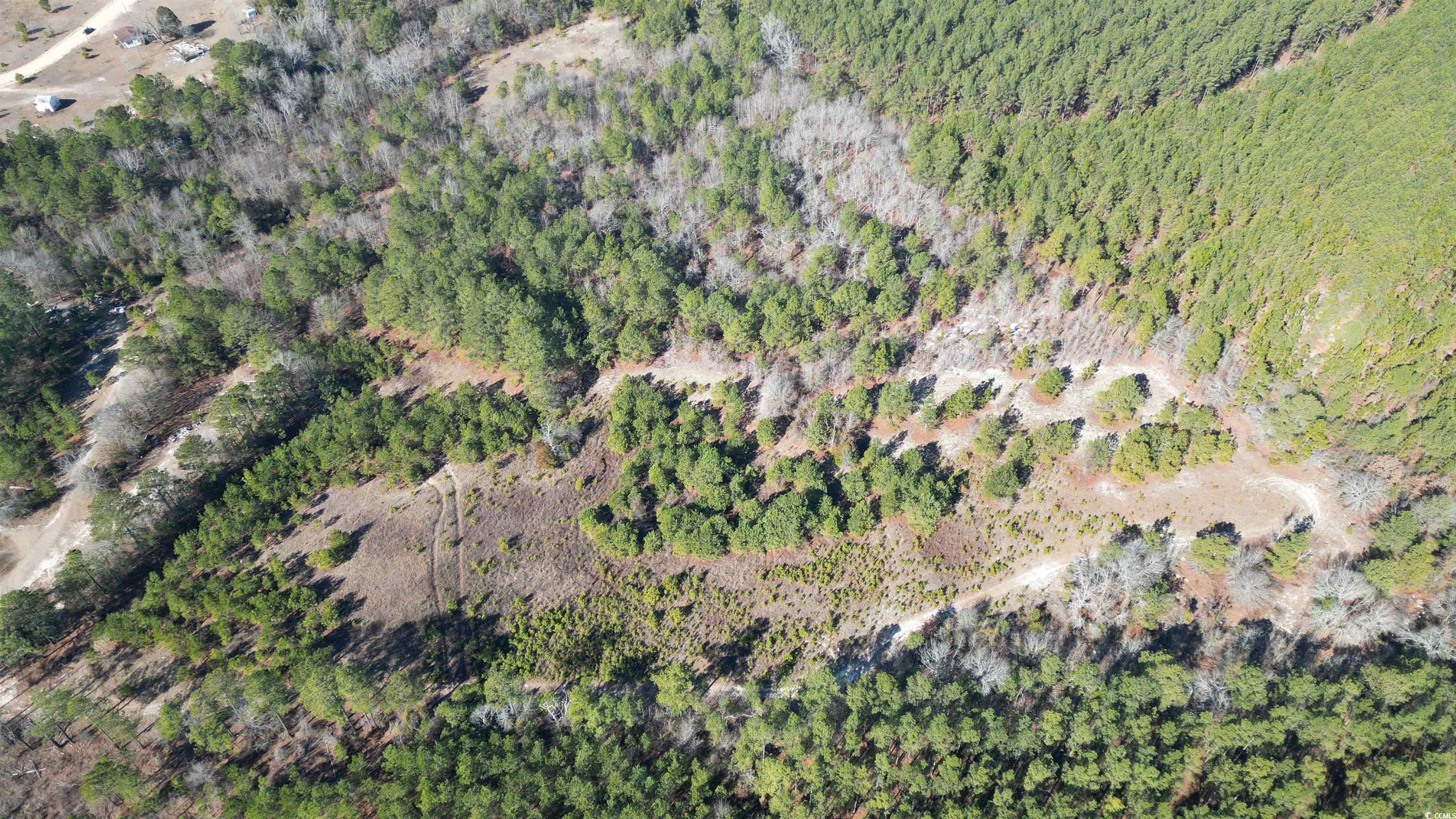 TBD4 Kickapoo Dr., Green Sea, South Carolina image 4