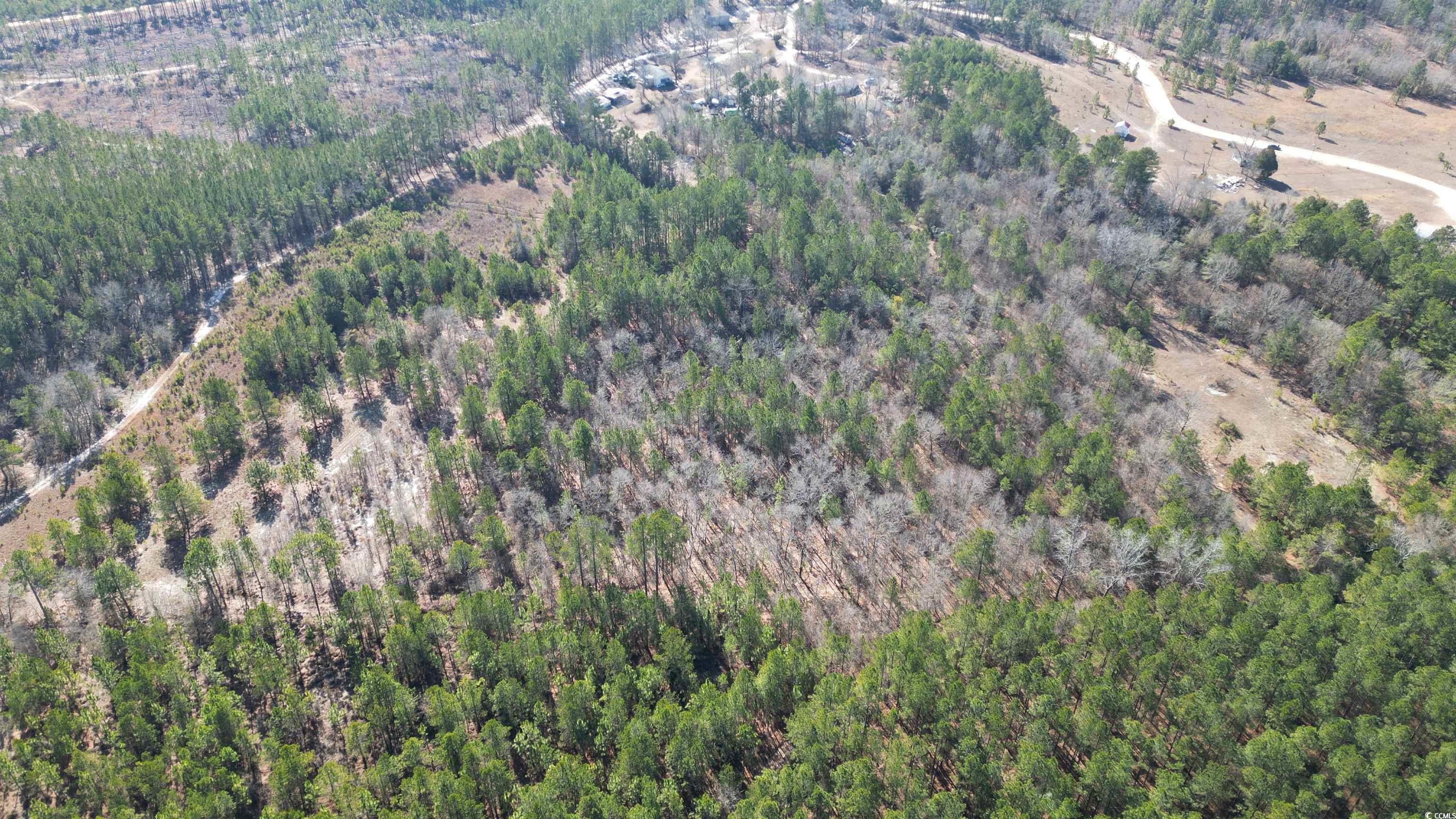 TBD4 Kickapoo Dr., Green Sea, South Carolina image 5