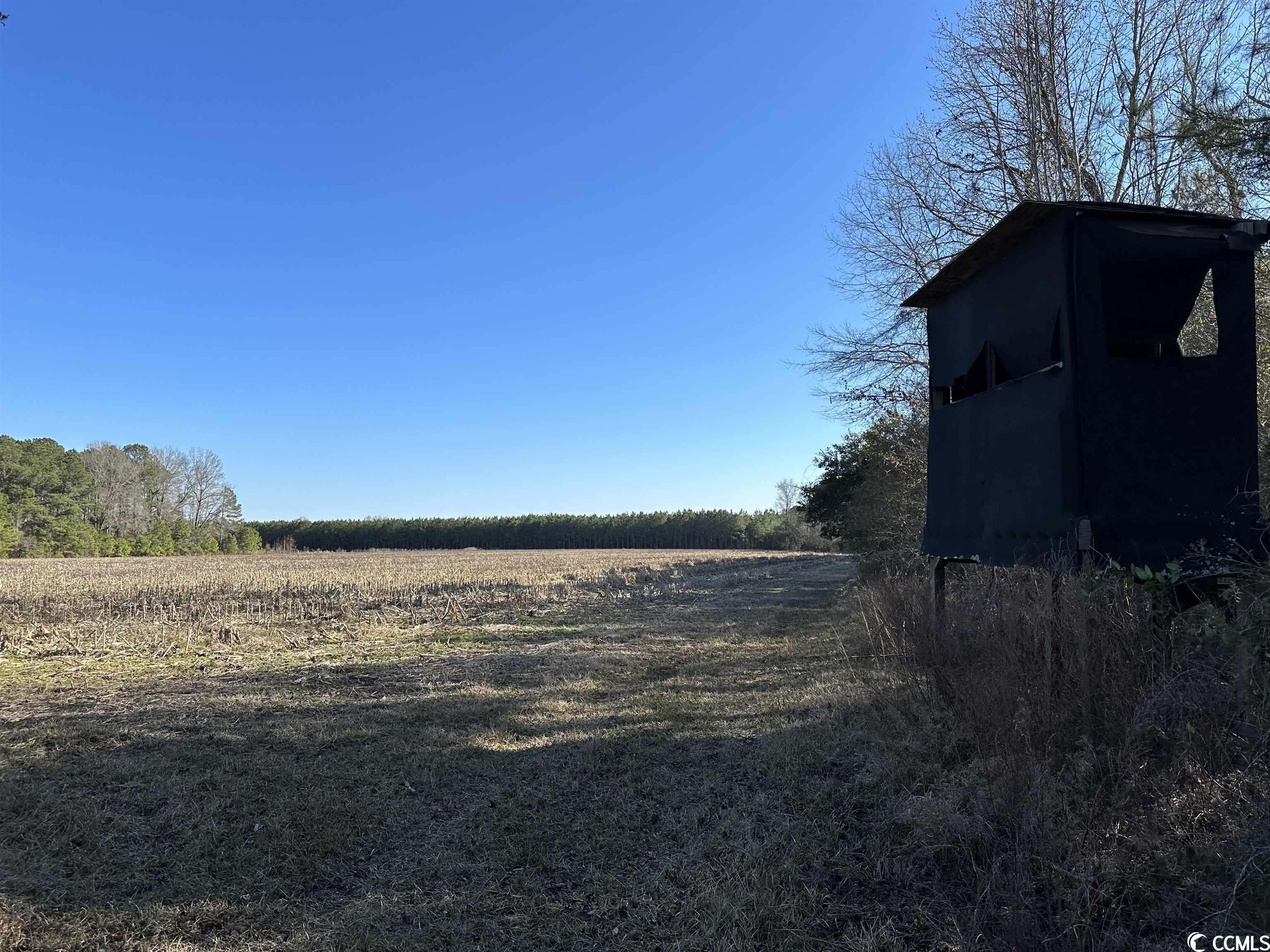 TBT Eddie Woods Rd. Greeleyville, SC 29056
