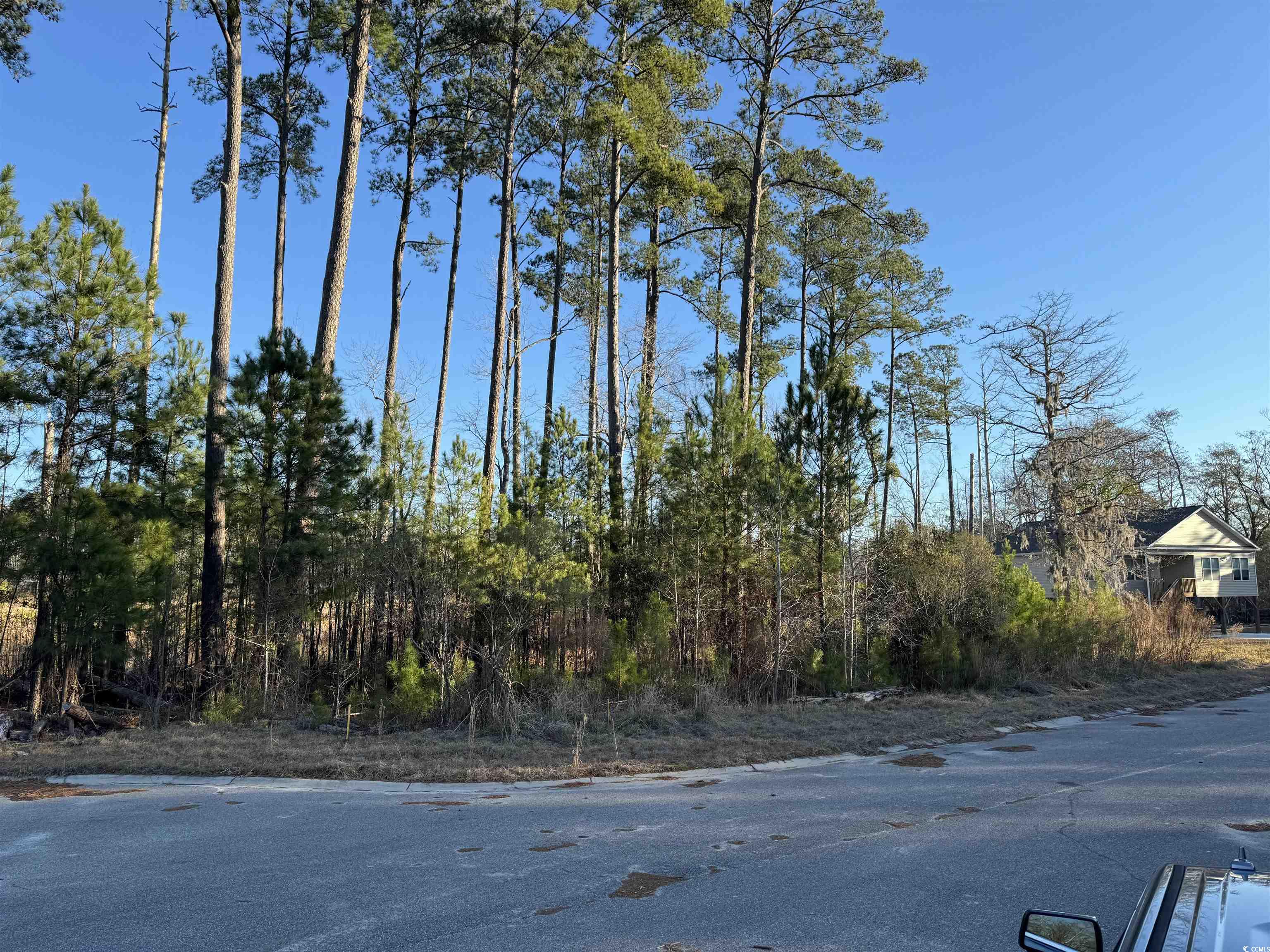 148 Black Harbor Dr. Conway, SC 29526