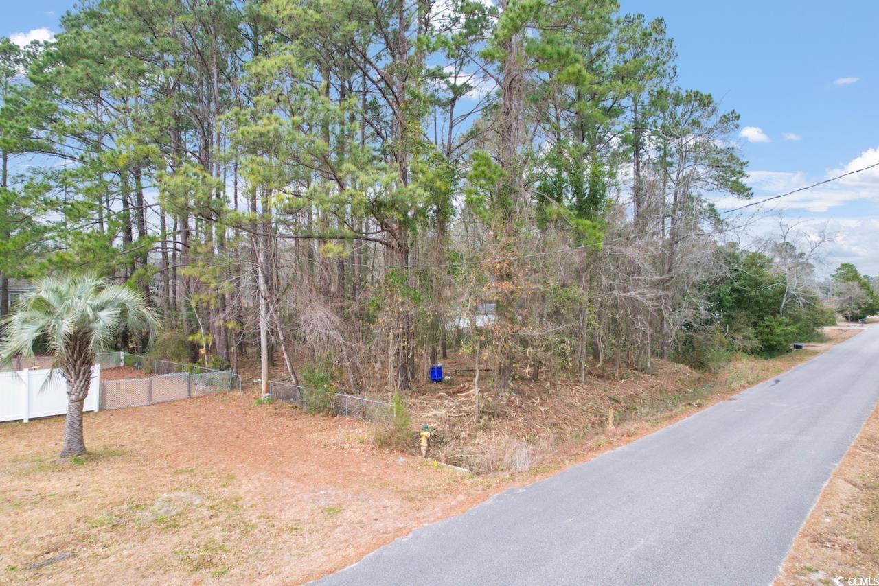 1418 Hyman Ln. Conway, SC 29526