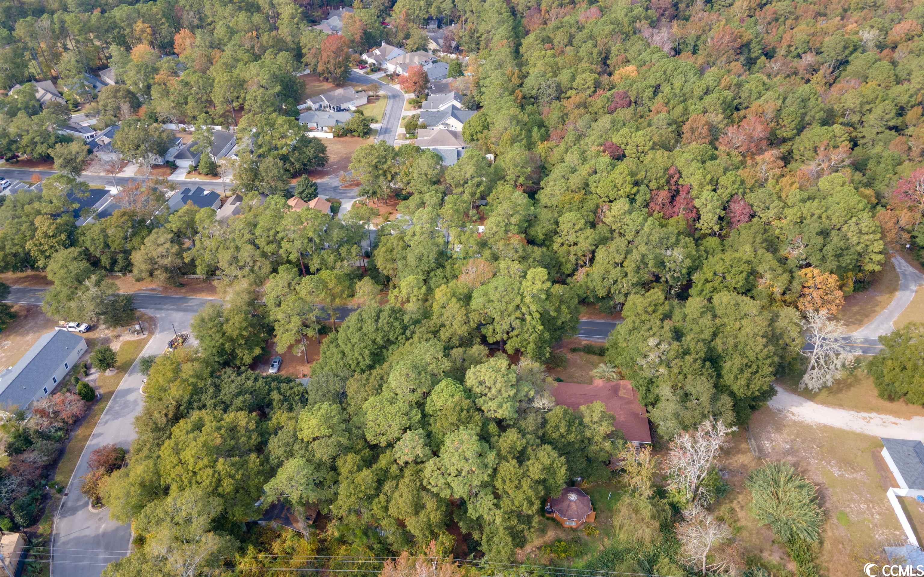 Lot 3 Tooge Hayes Rd., Mullins, South Carolina image 26