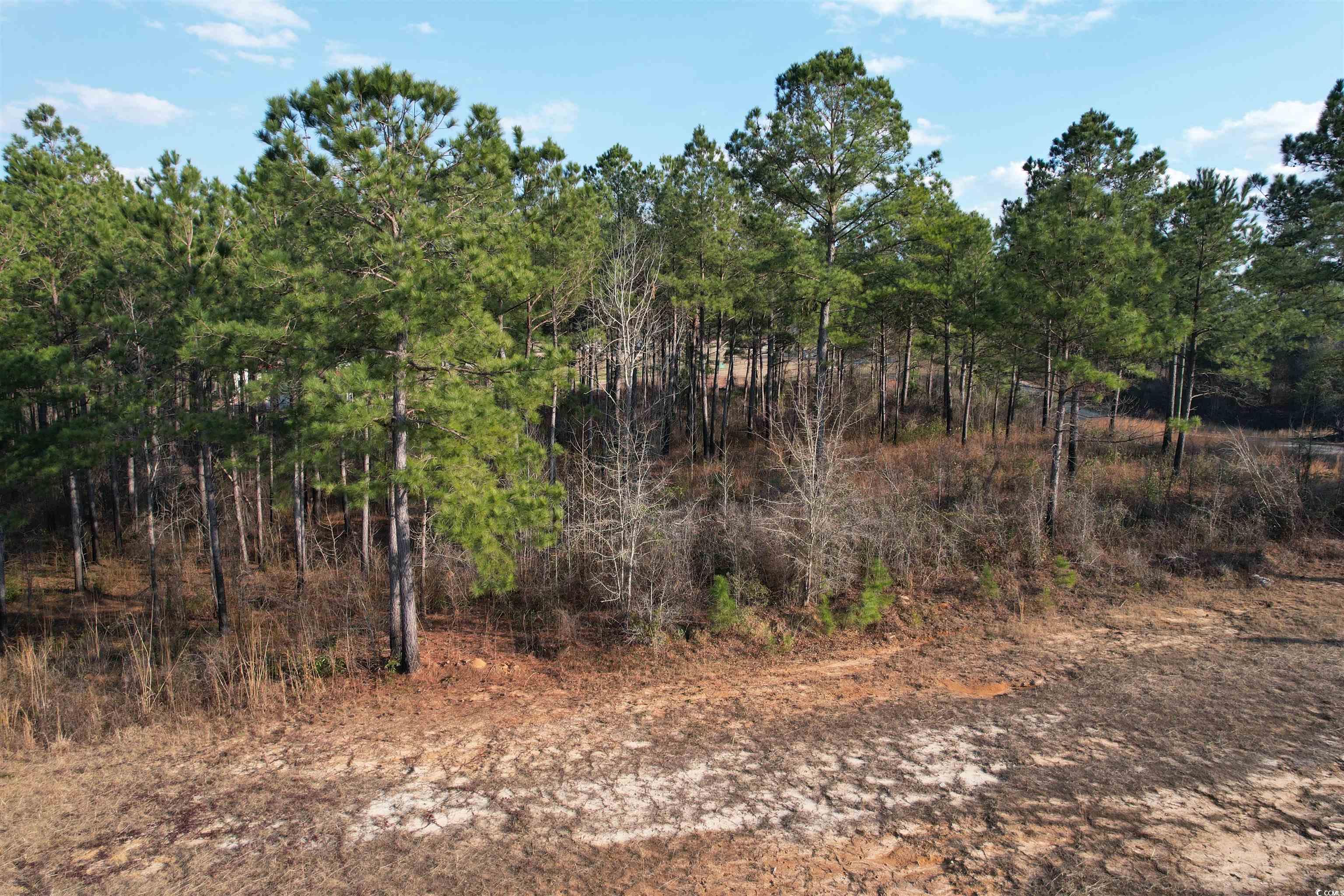 LOT 6 Old Camp Ln., Salters, South Carolina image 15