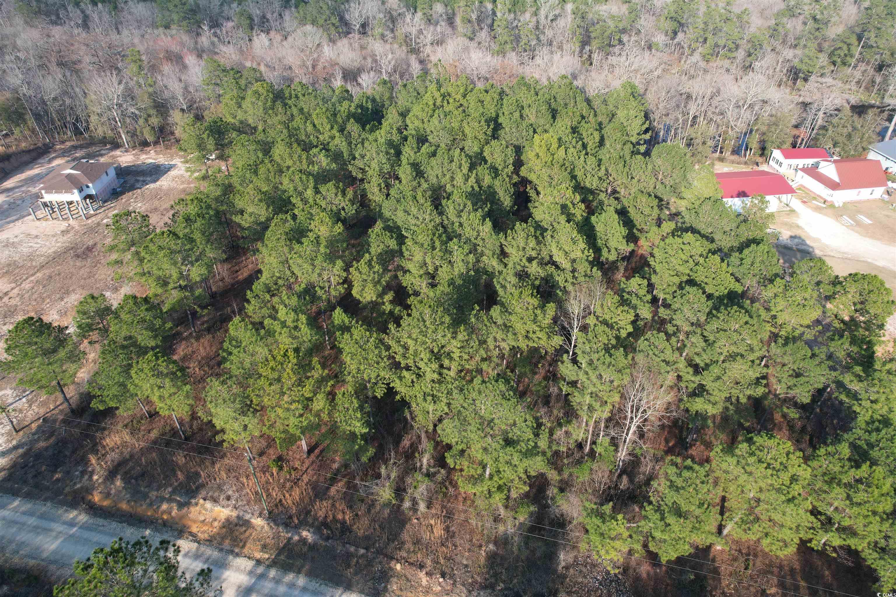 LOT 6 Old Camp Ln., Salters, South Carolina image 17